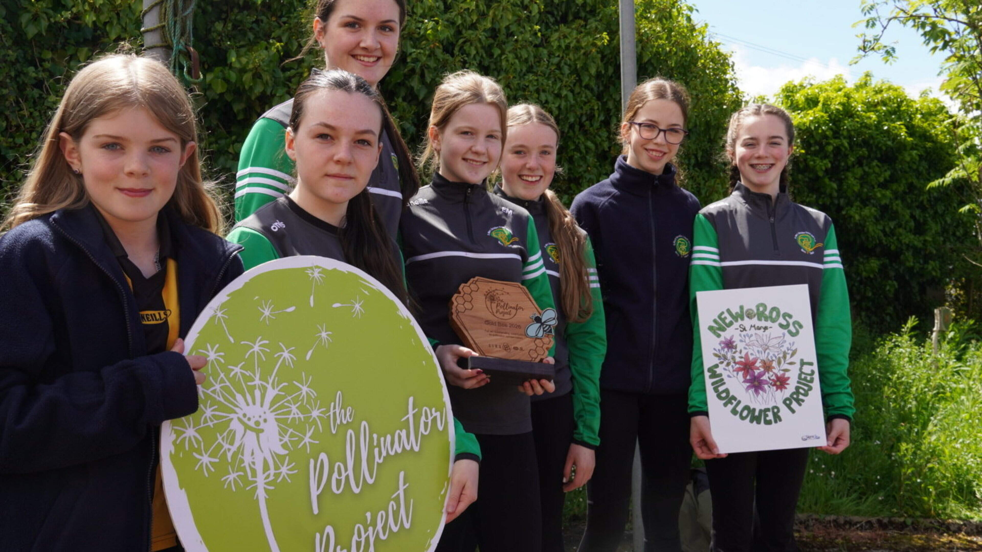 Wexford secondary school’s pollinator project reac