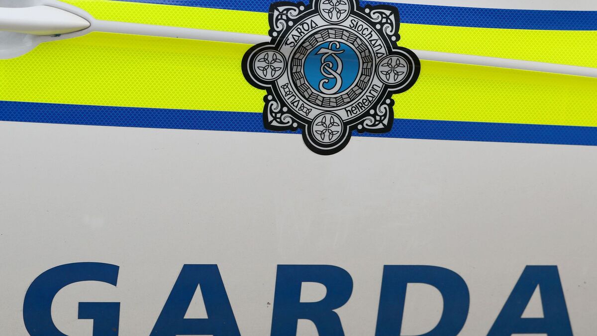 Man (50s) remains in critical condition following assault in North Dublin