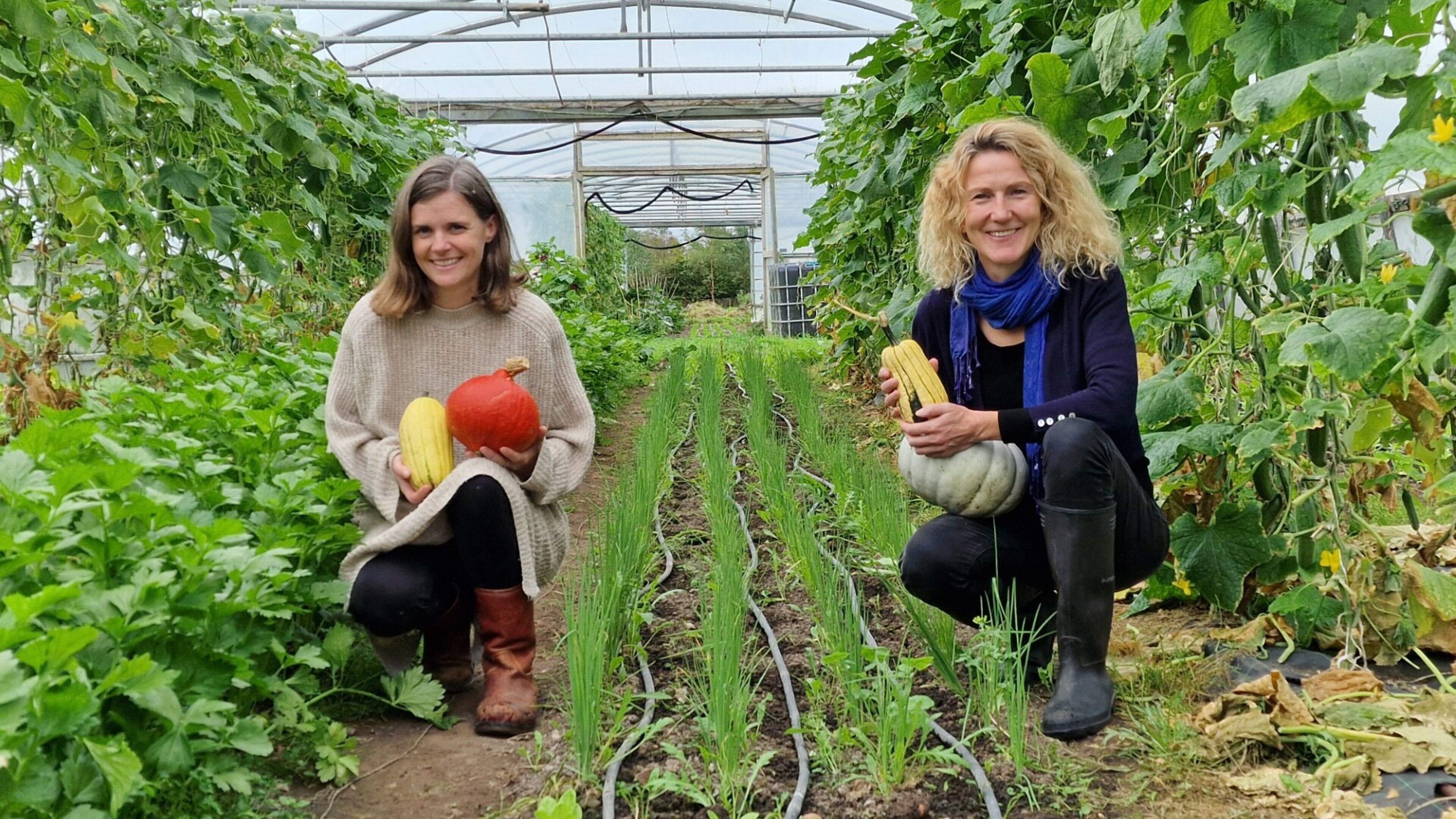 European organic conference coming to Cork