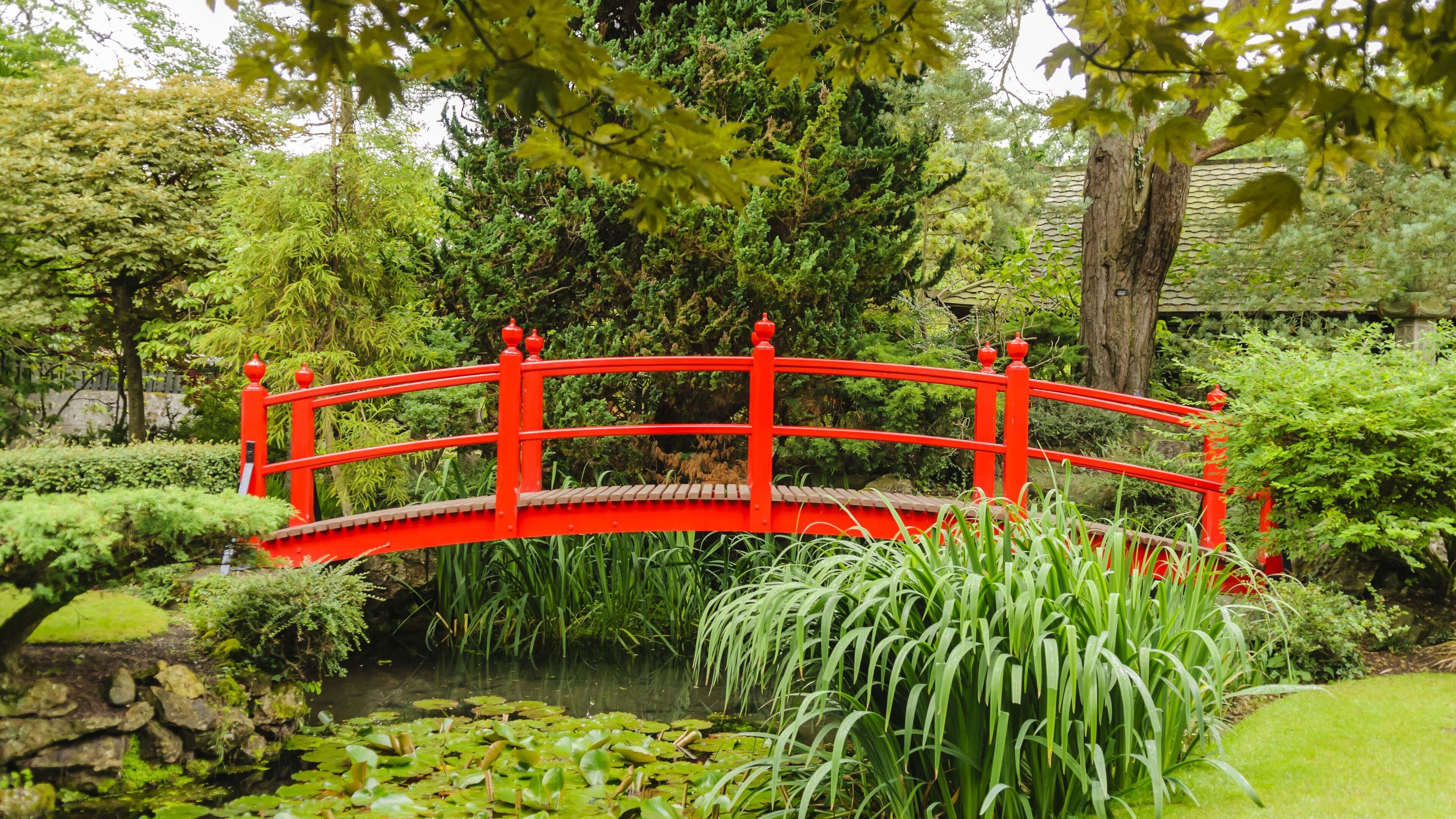 June bank holiday in Kildare: From vintage car rallies to boat trips - here are our top five things to do