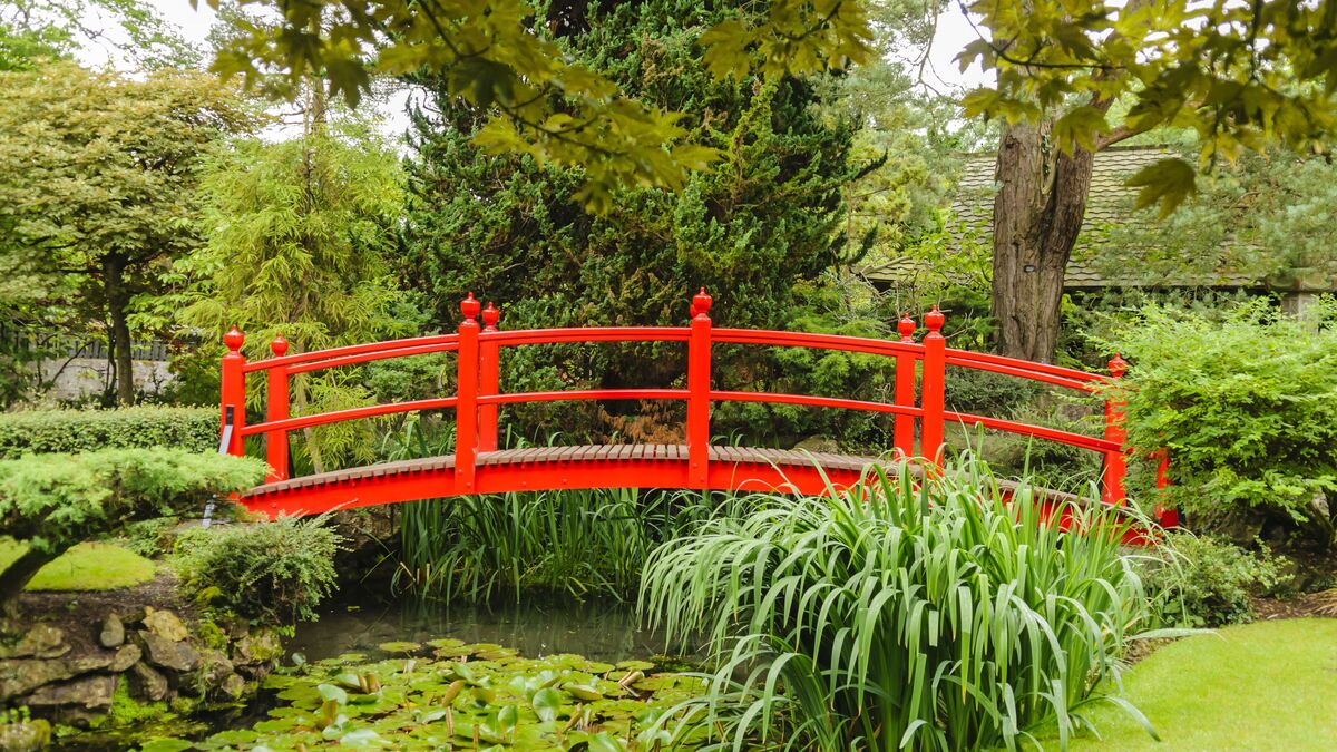 June bank holiday in Kildare: From vintage car rallies to boat trips - here are our top five things to do