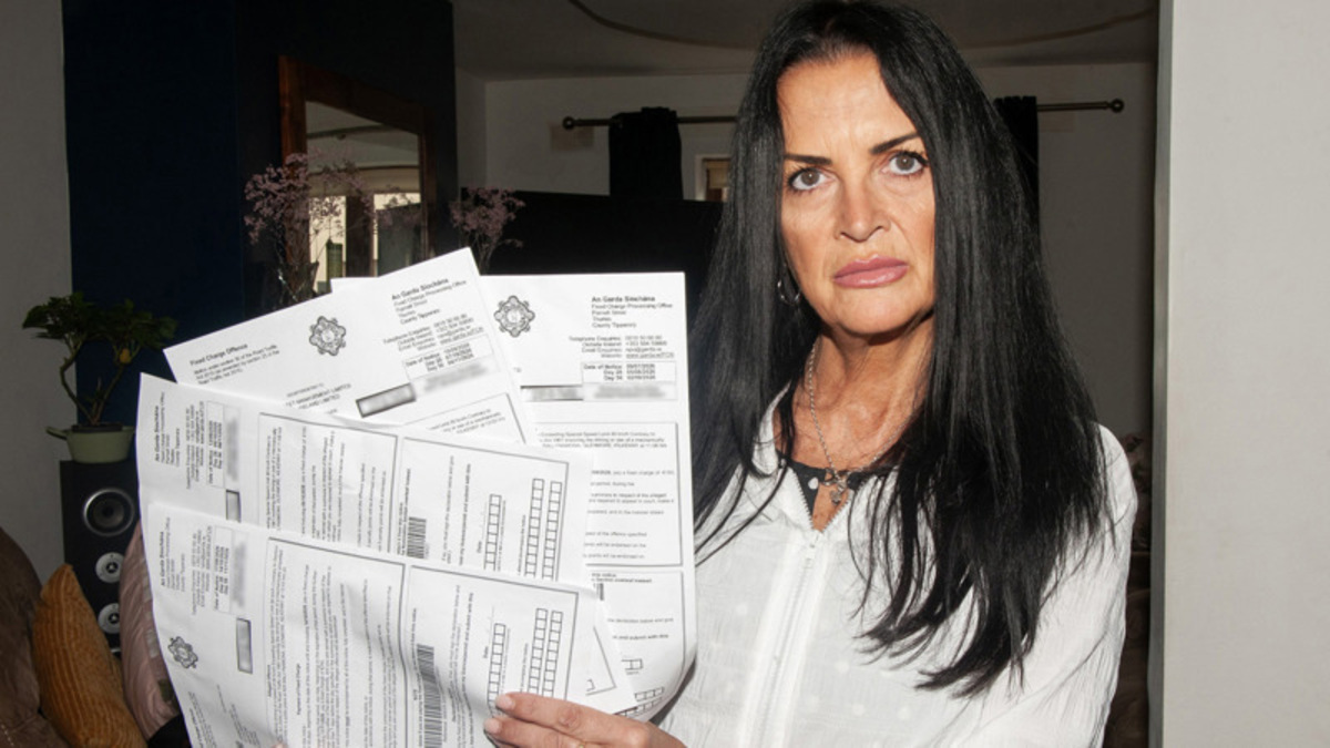 Legal challenges, lost licences and families on the brink – the inside ...