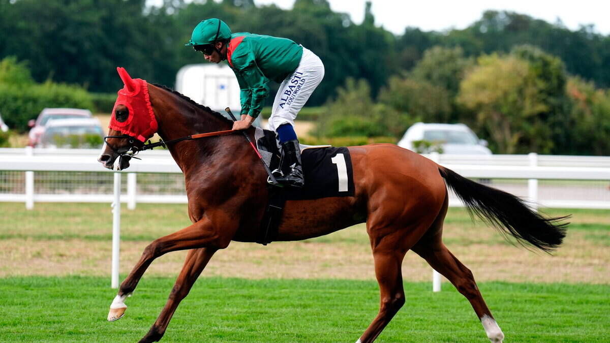 Wayne Bailey: French fancy Calandagan can rule the world at Ascot