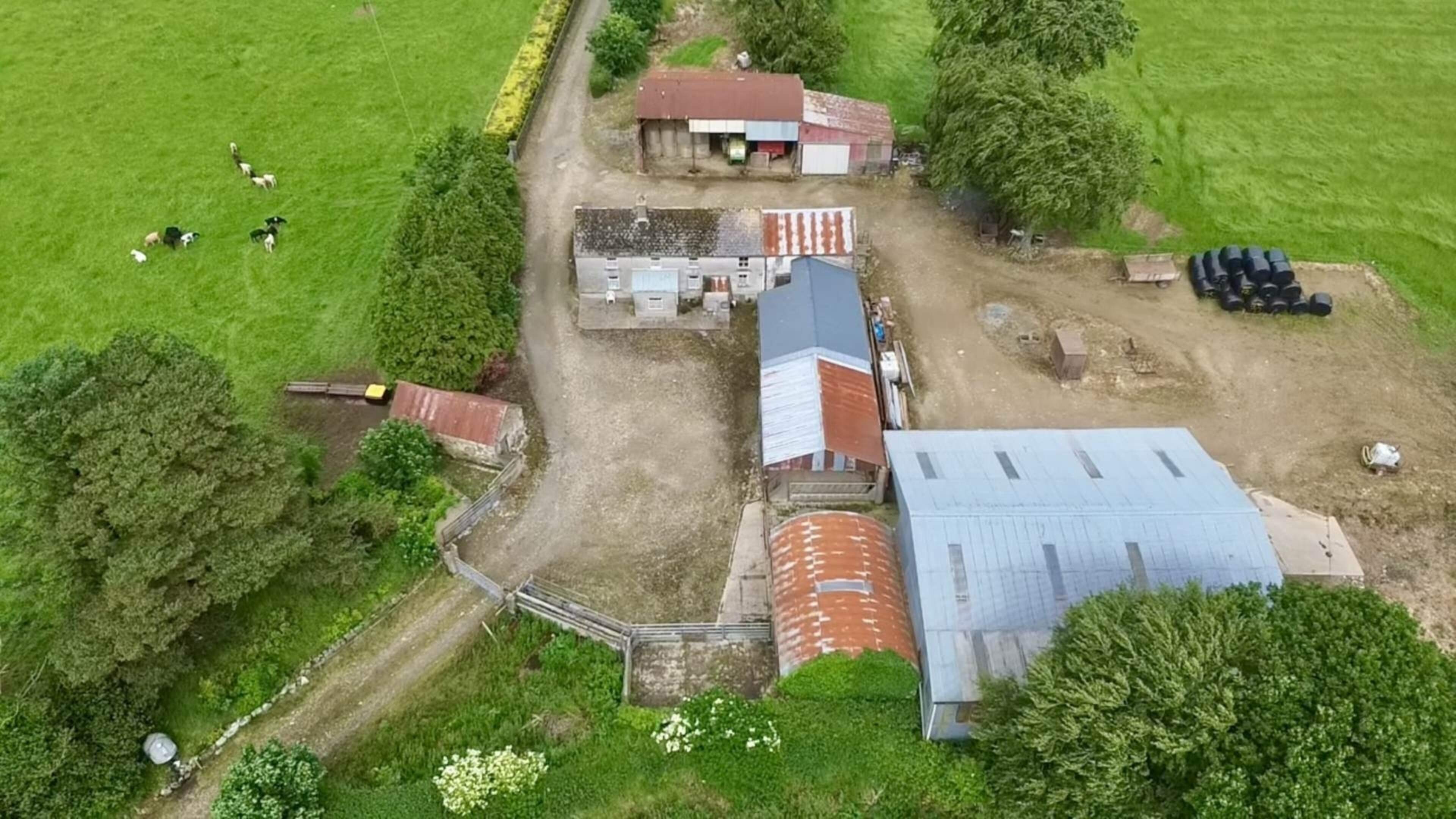 92ac Wexford farm hits market at €13k/ac