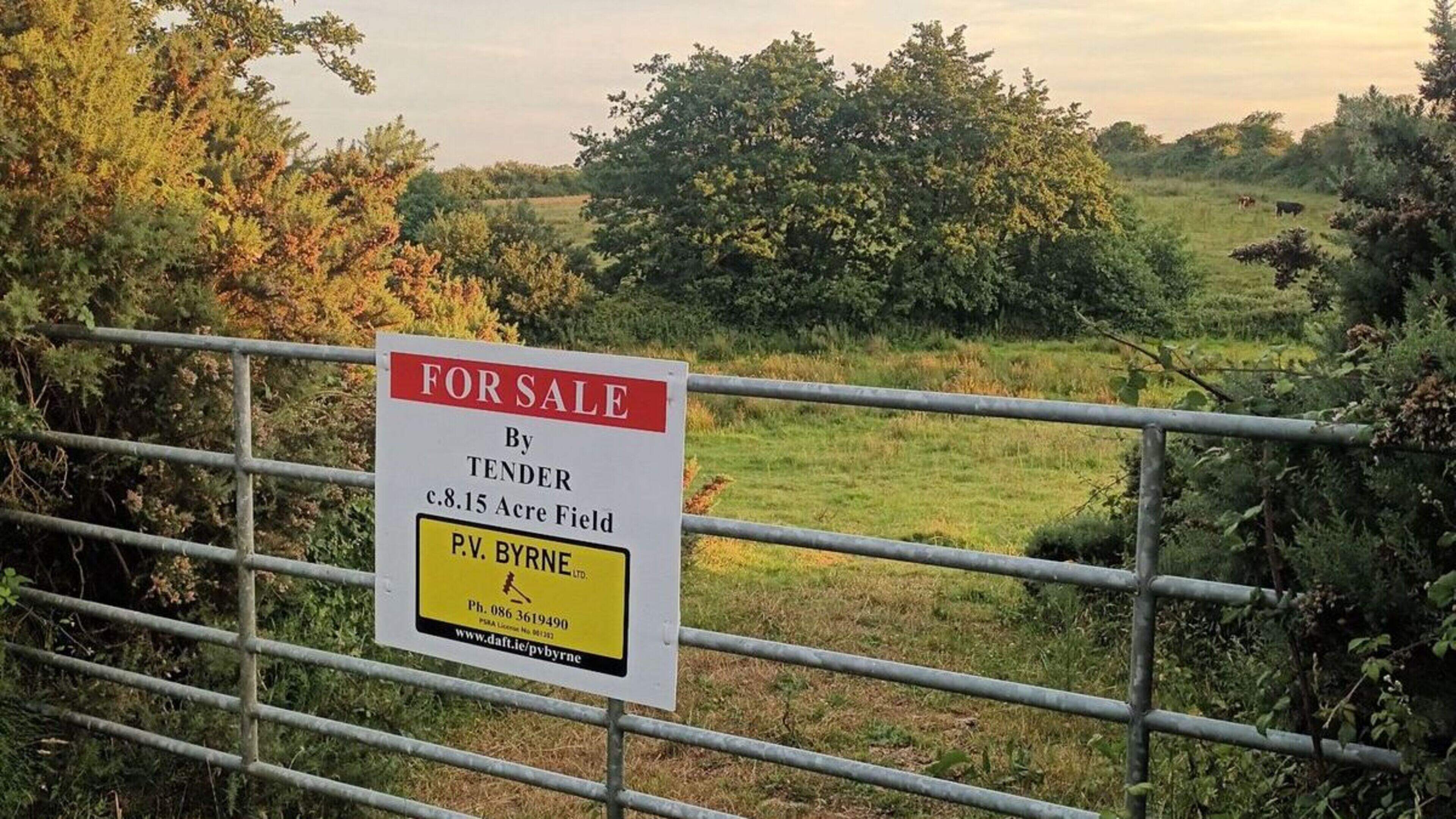7.85-acre Wicklow holding close to coast offered for sale by tender 