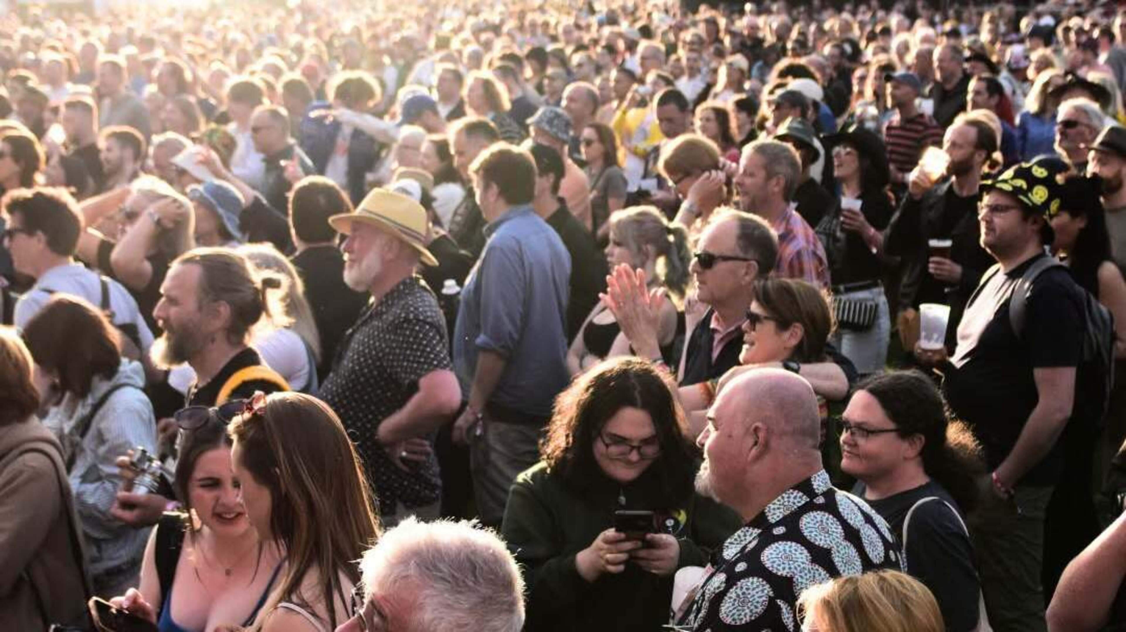 Forest Fest in Laois to rival the glory days of Glastonbury