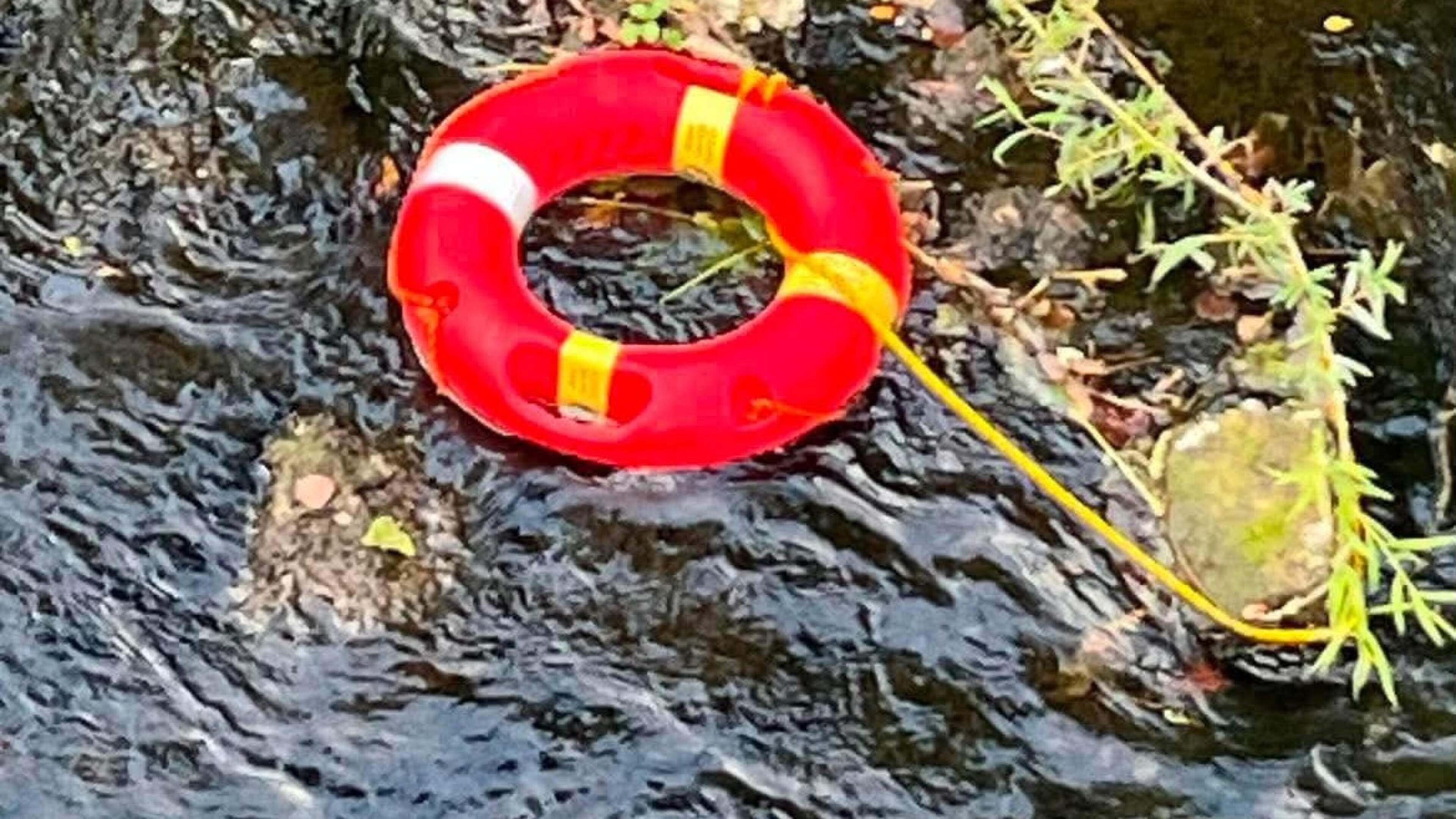 Lifebuoy vandals branded ‘morons’ for putting lives at risk in Louth