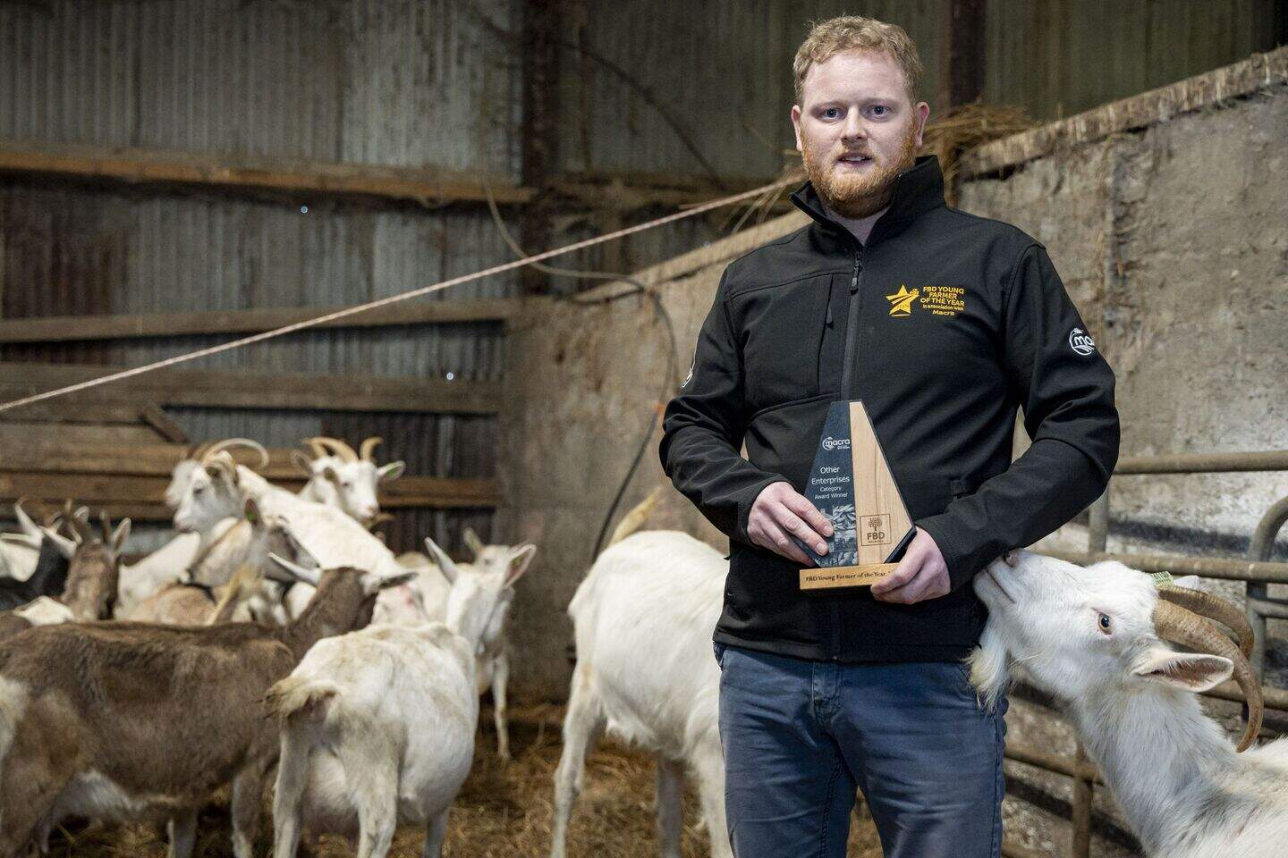 Meet the award-winning Limerick farmer bringing the goat sector to the ...