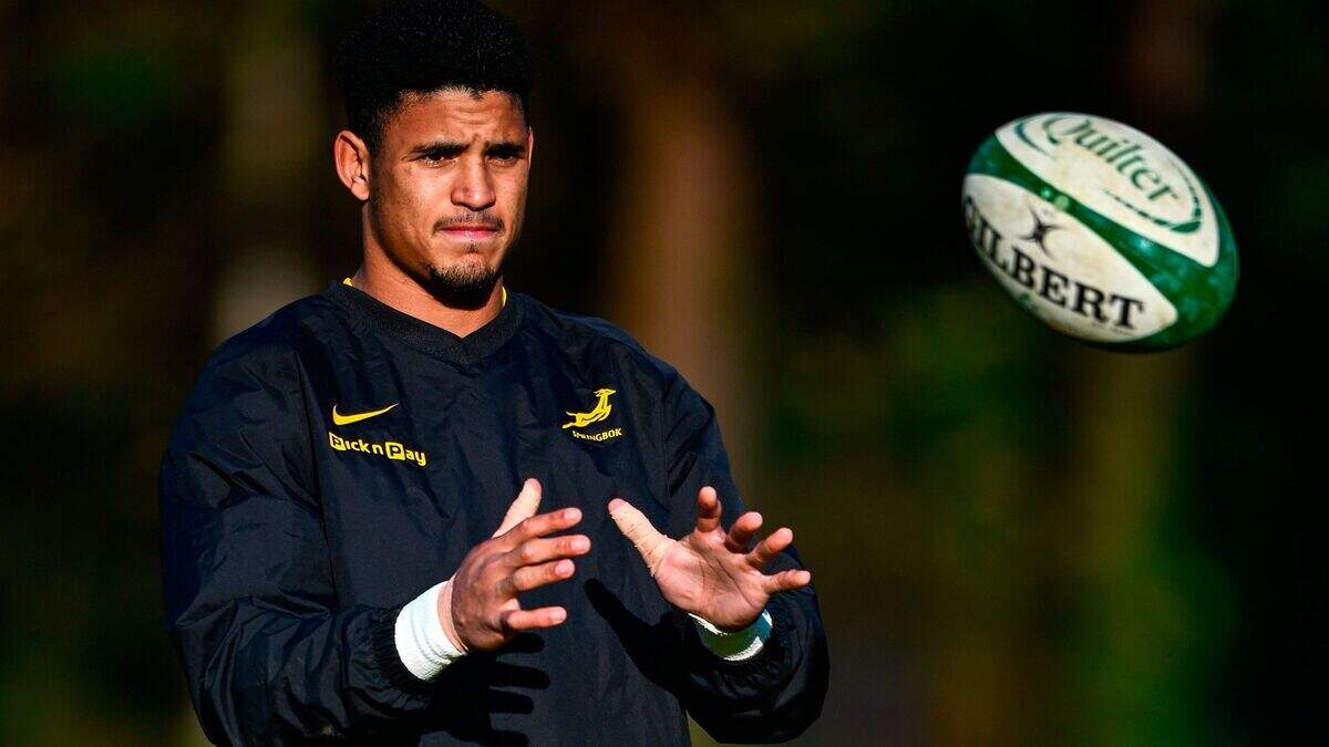 Stormers blow as Springboks star Sacha Feinberg-Mngomezulu ruled out of URC semi-final against Leinster