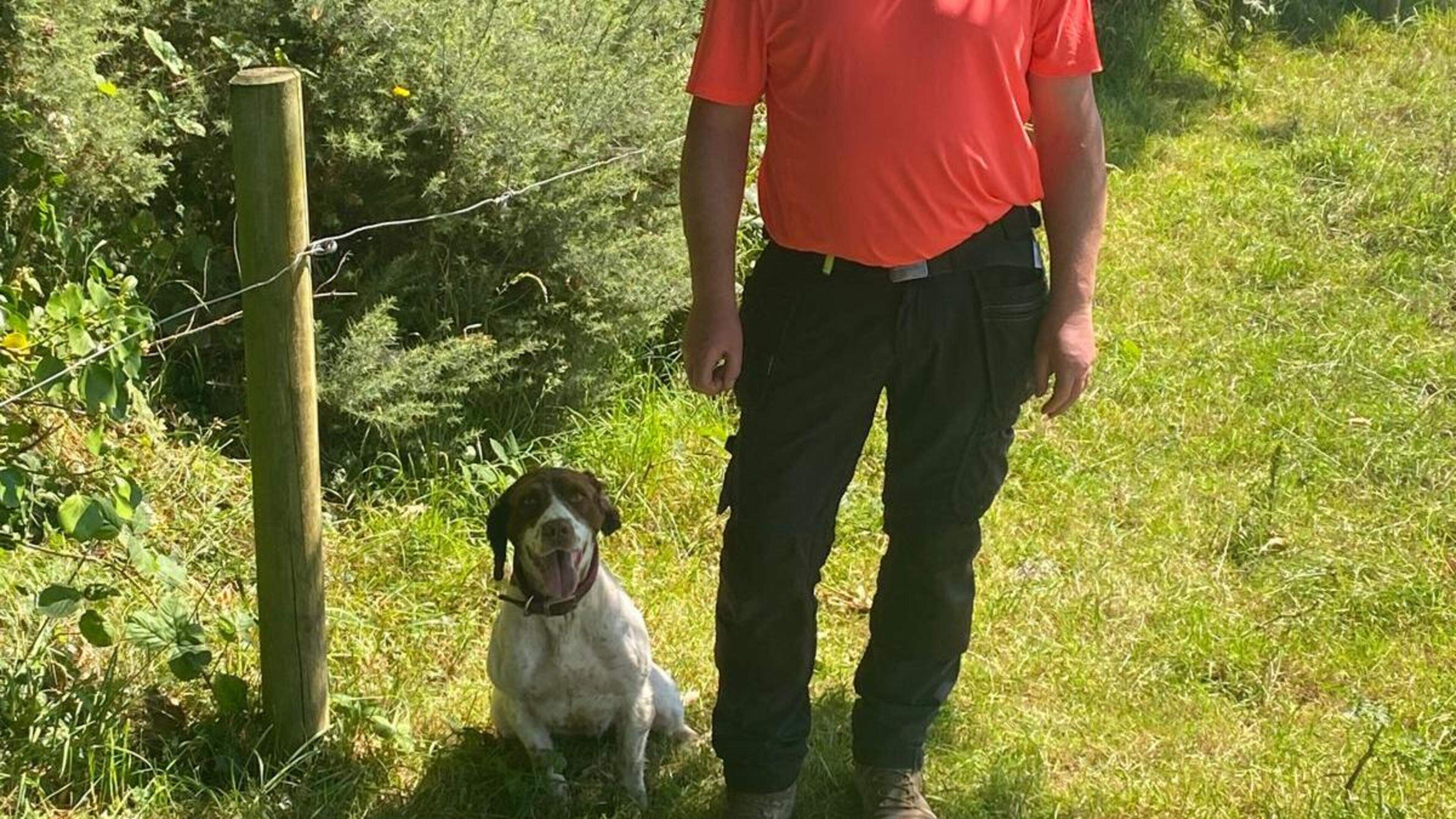 Springer spaniel is helping Uisce Éireann to sniff out water leaks in Mayo