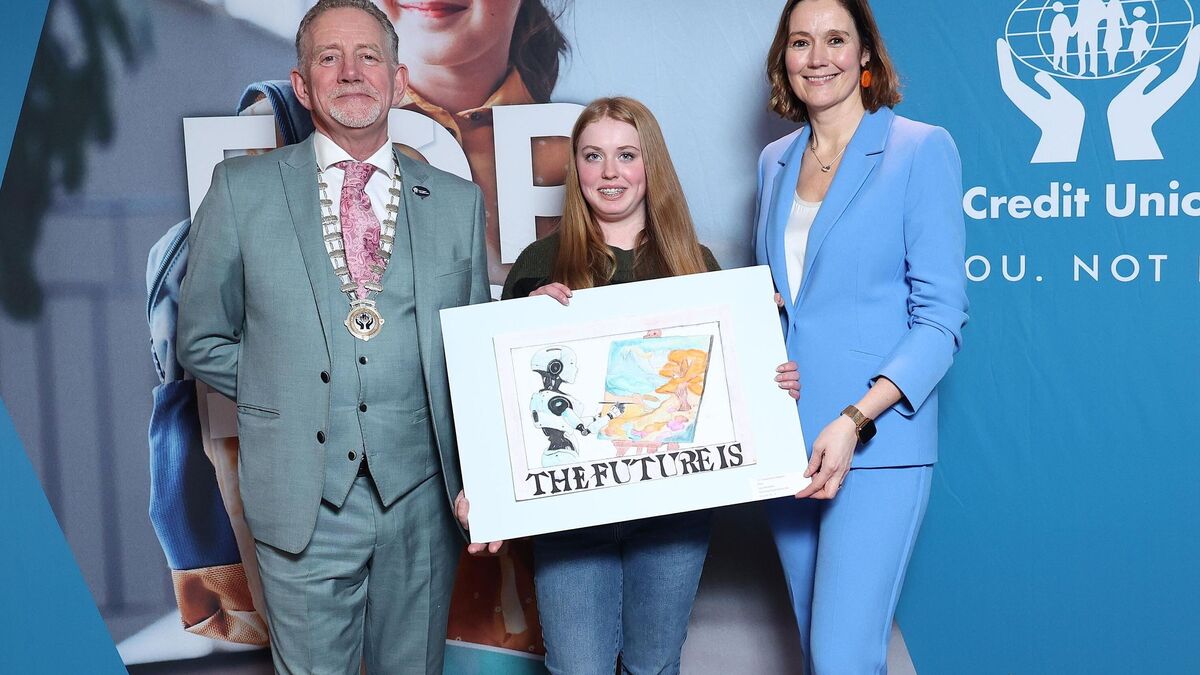 ‘Remarkable drawings’ by Wexford student recognised at national Credit ...