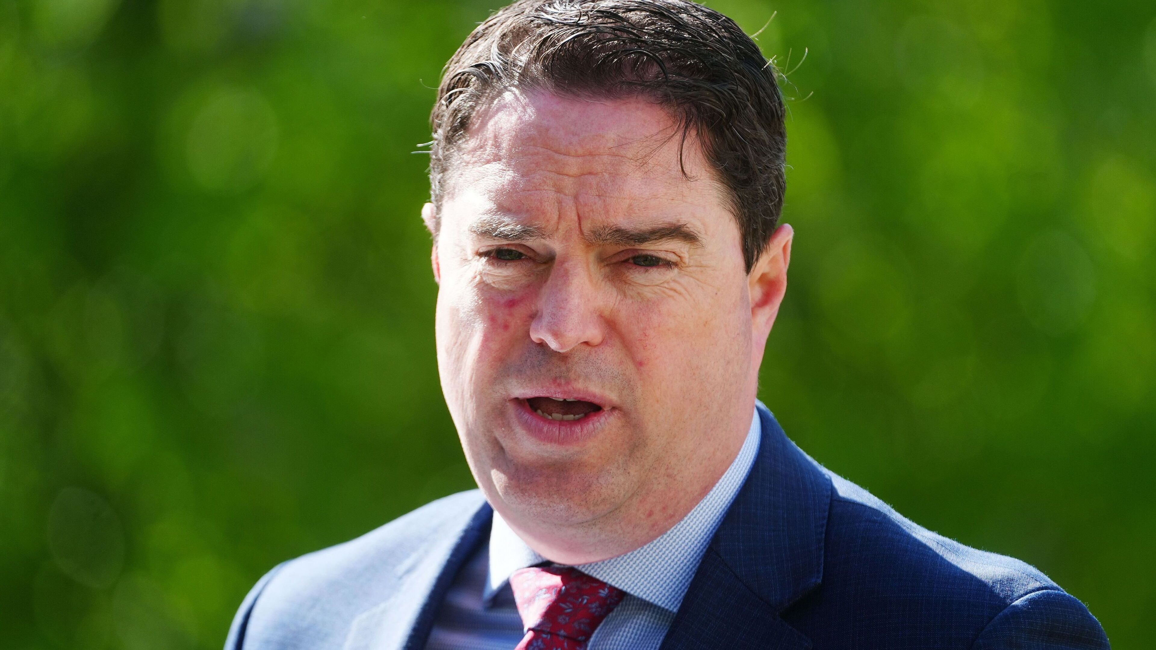 Farmers urged to stay alert as bluetongue cases rise in Ireland and UK