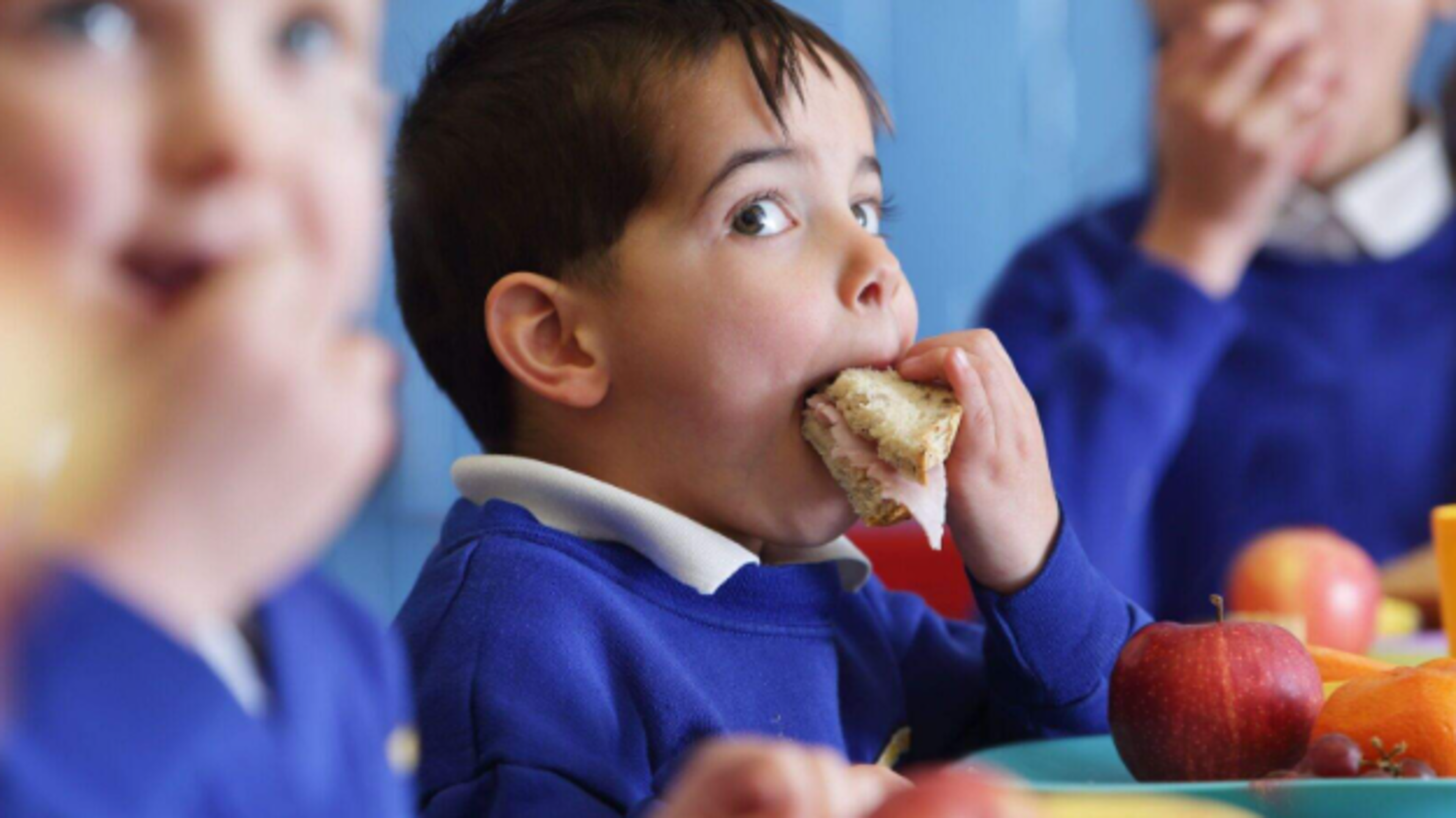 School meals provider Glanmore sees profits fall to €4.8m even as revenue jumps