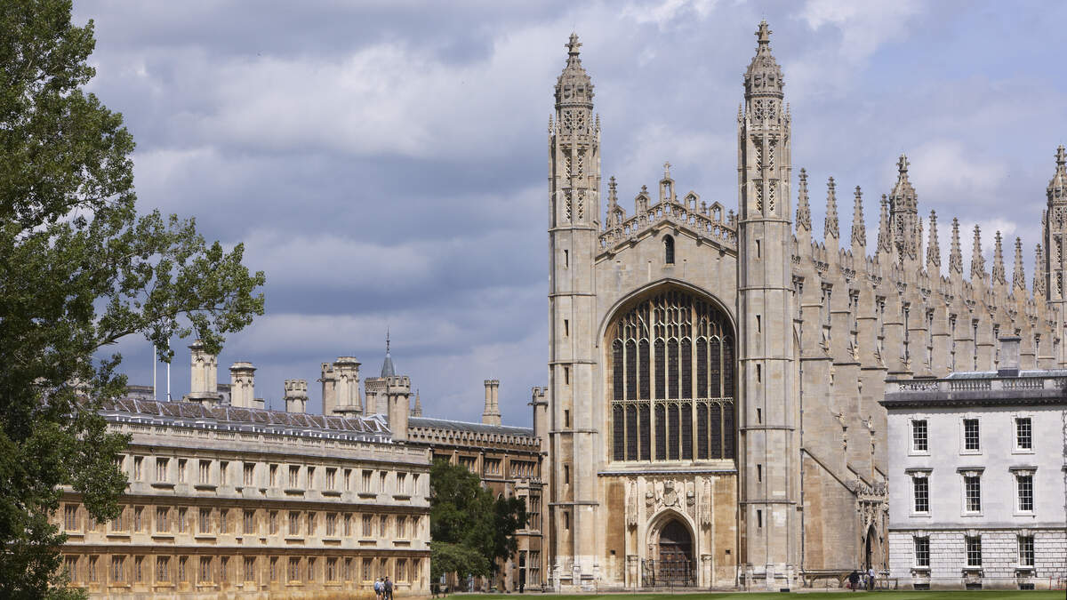 Cambridge professor accused of plagiarism falsely claimed to have published book