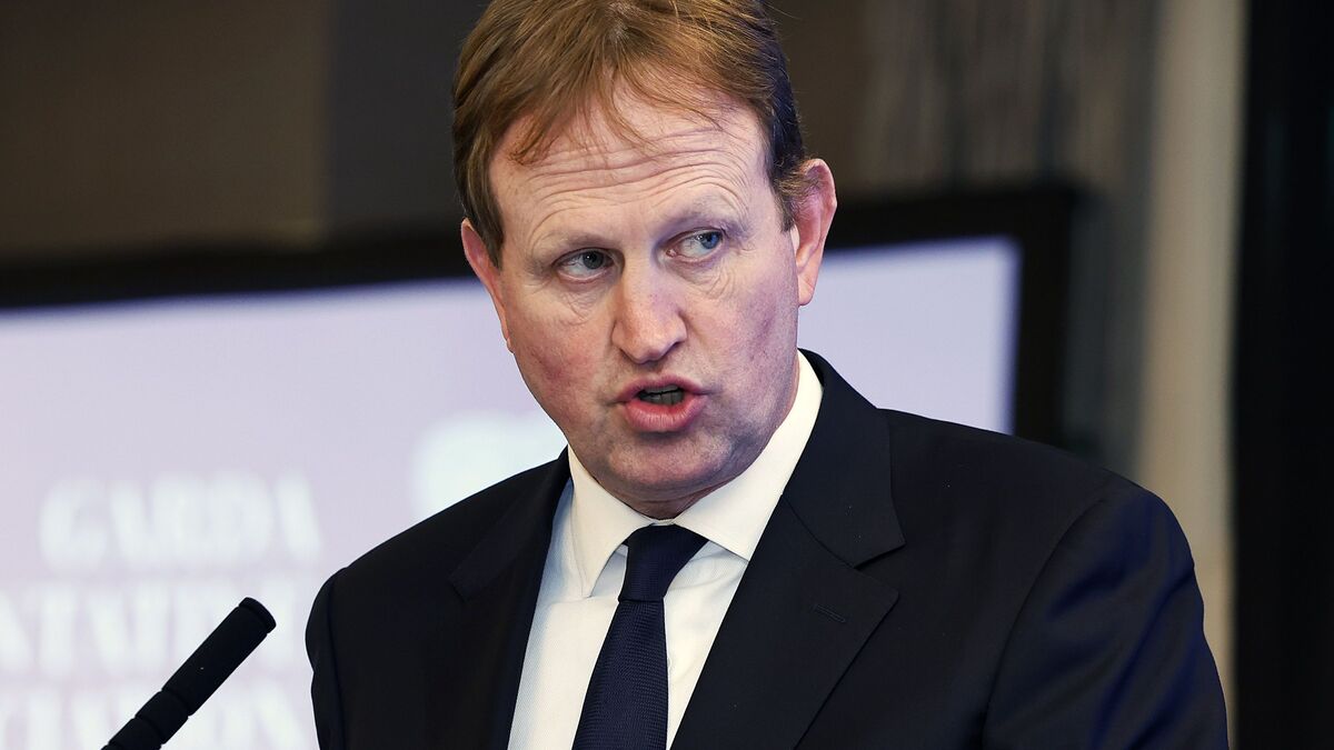 Minister cites 'acute capacity constraints' as capital programme bypasses Shelton Abbey