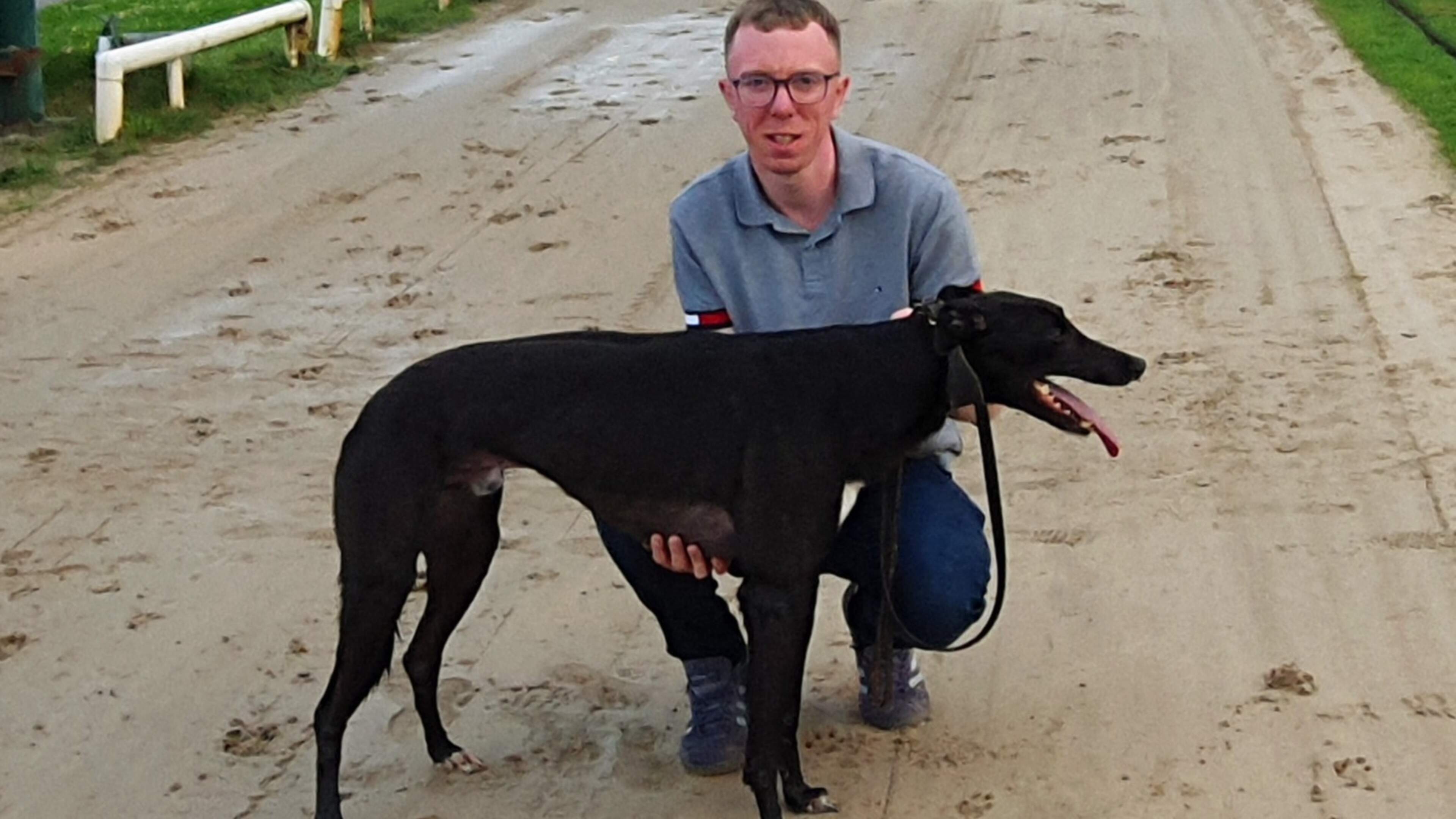Solo And Go, part-owned by the Clifford brothers, is impressive winner of Race Of Champions semi-final at Tralee