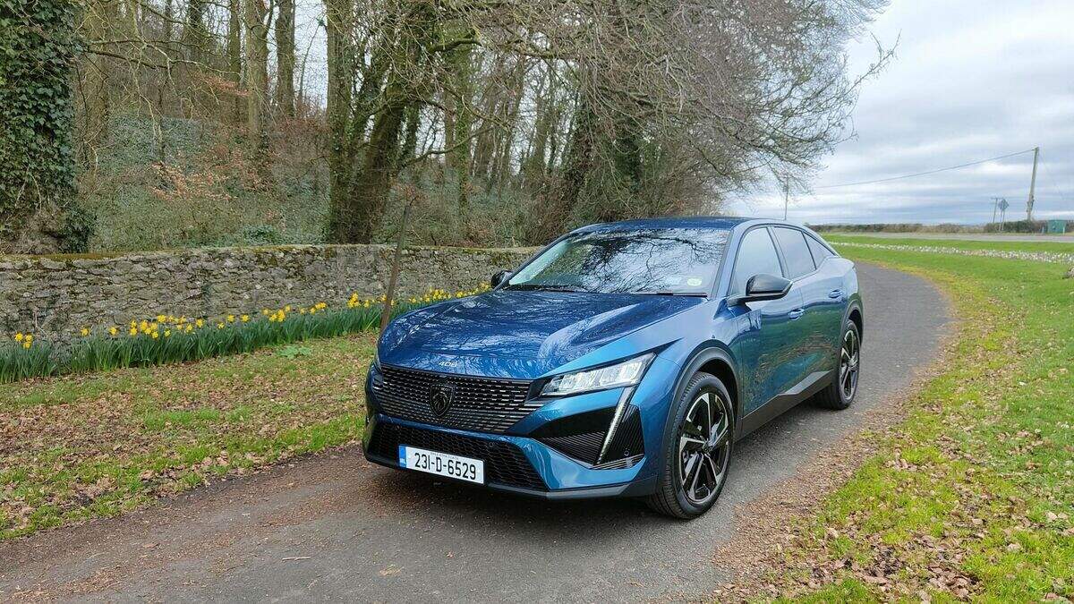 An ideal farm car – and not just a farmer’s car | Irish Independent