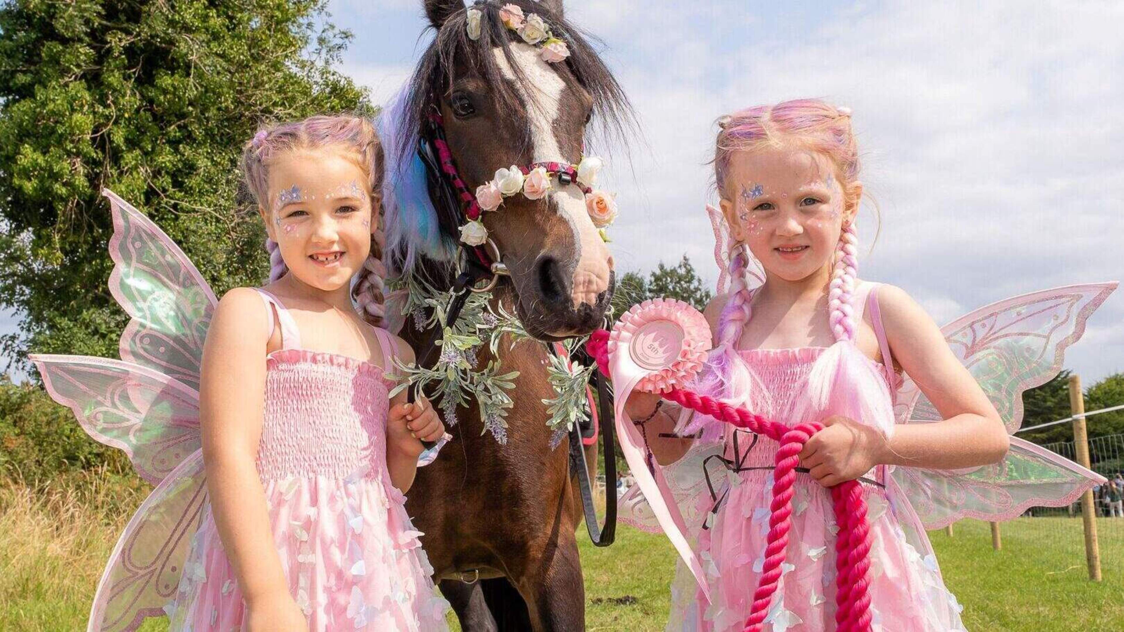 Packed equestrian schedule and ‘Hobby Horse’ puissance to headline Kilmacanogue Show at Enniskerry Horse Farm