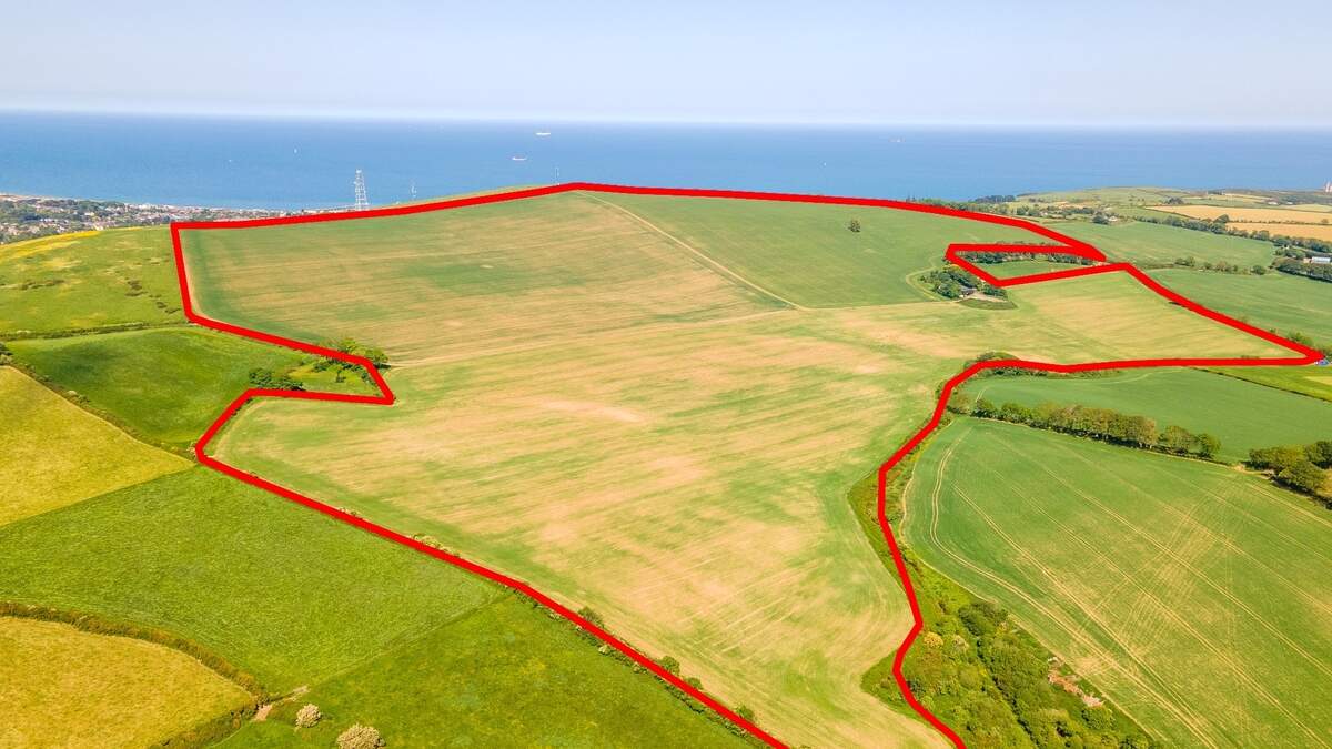 The ‘biggest field in Ireland' is for sale – and it comes with coastal views