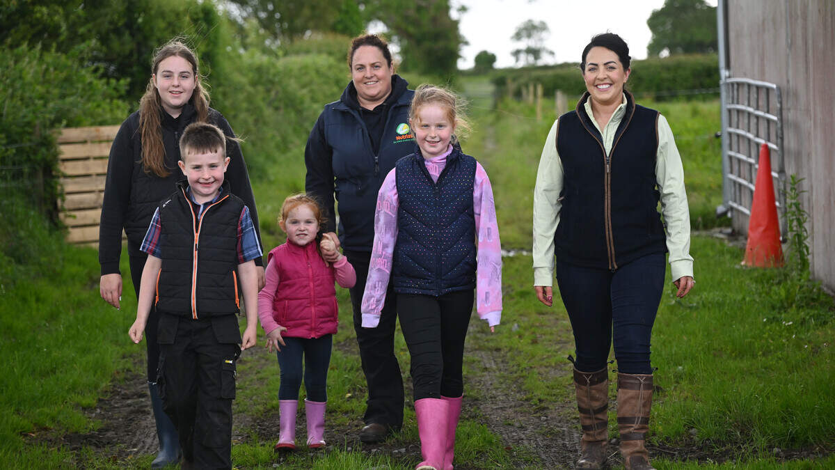 How this Galway family is targeting export and breeding heifer markets from their 50-cow suckler herd