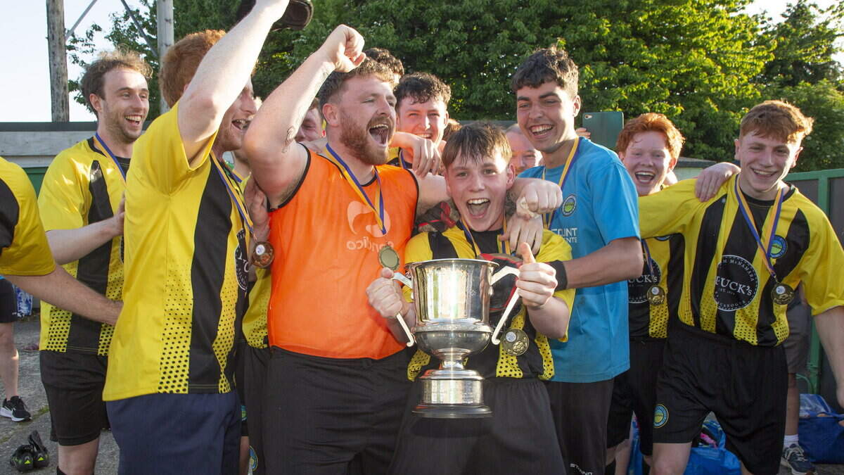 Glencormac belie Wicklow league placings to take Charlie Byrne Cup