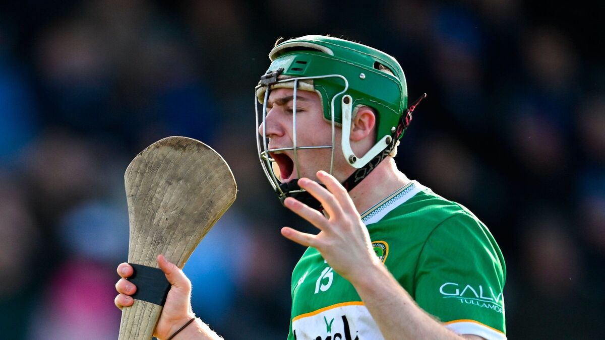 ‘The more you fed them, the more they wanted. They gobbled it up' — The underage success story driving Offaly forward