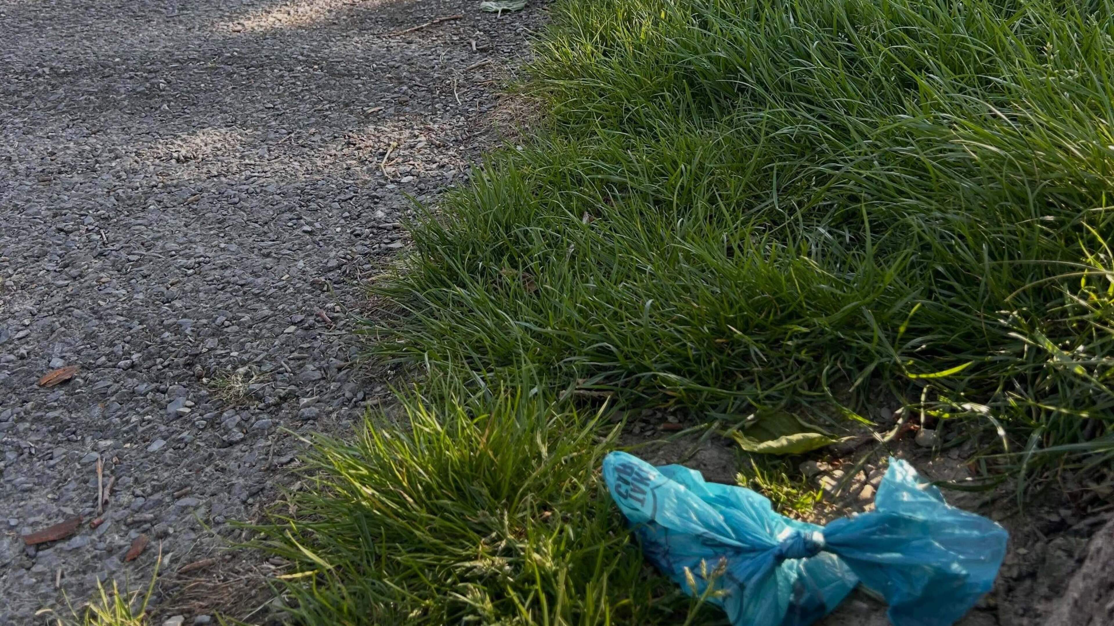 Calls for dog waste bins at new Dundalk athletics facility