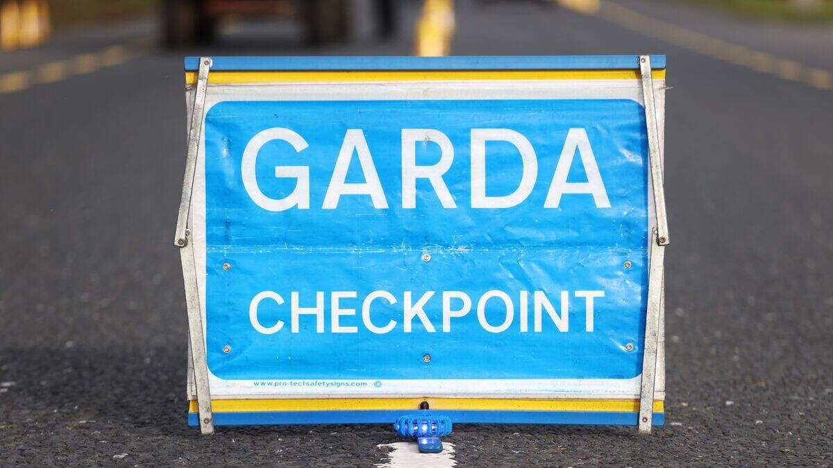 Motorist with ‘high-quality’ fake driving licence arrested in Kildare tested positive for drugs