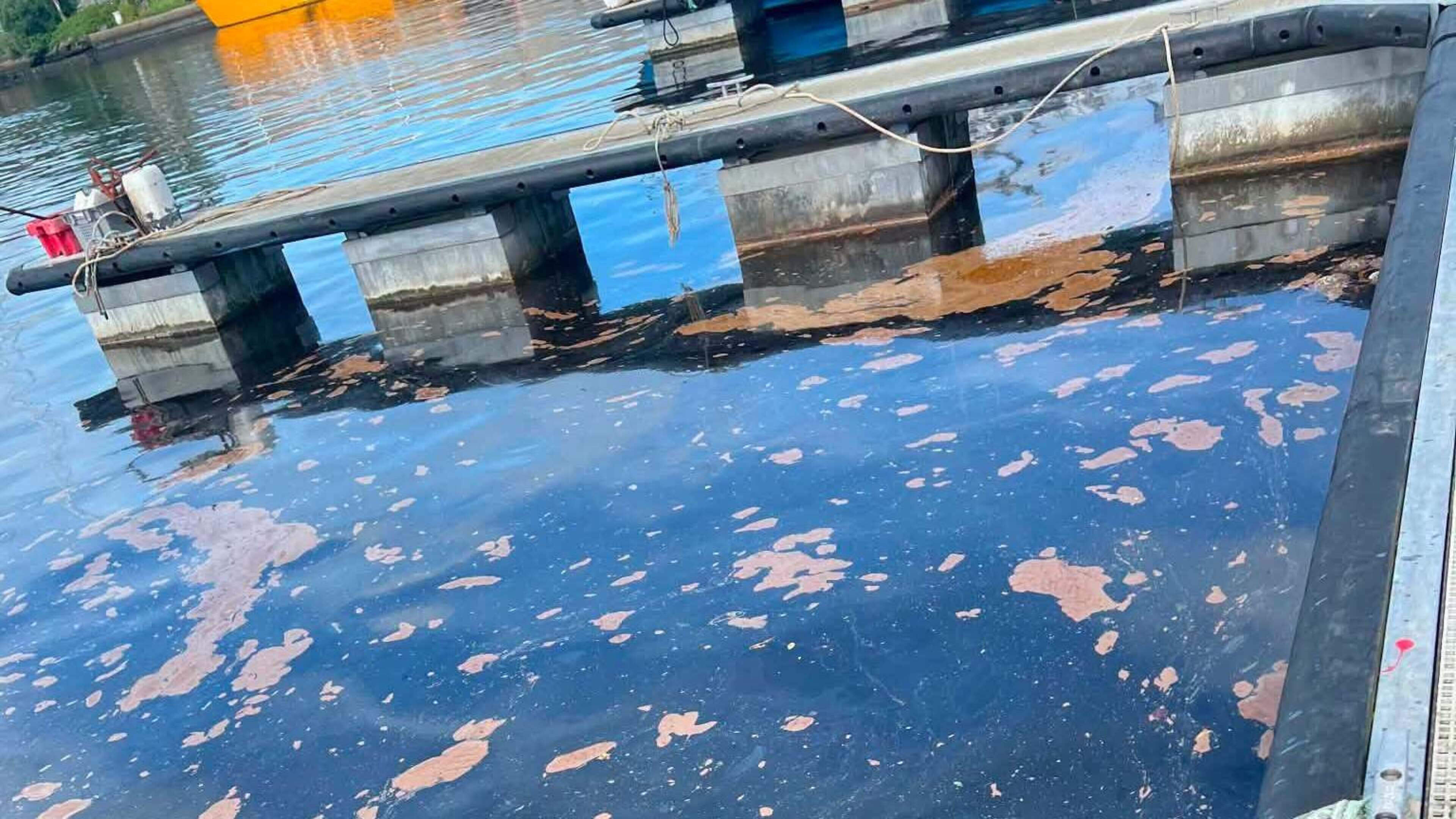 Uisce Éireann blames illegal ‘load of fats, oils and grease’ for harbour pollution spill in Wicklow