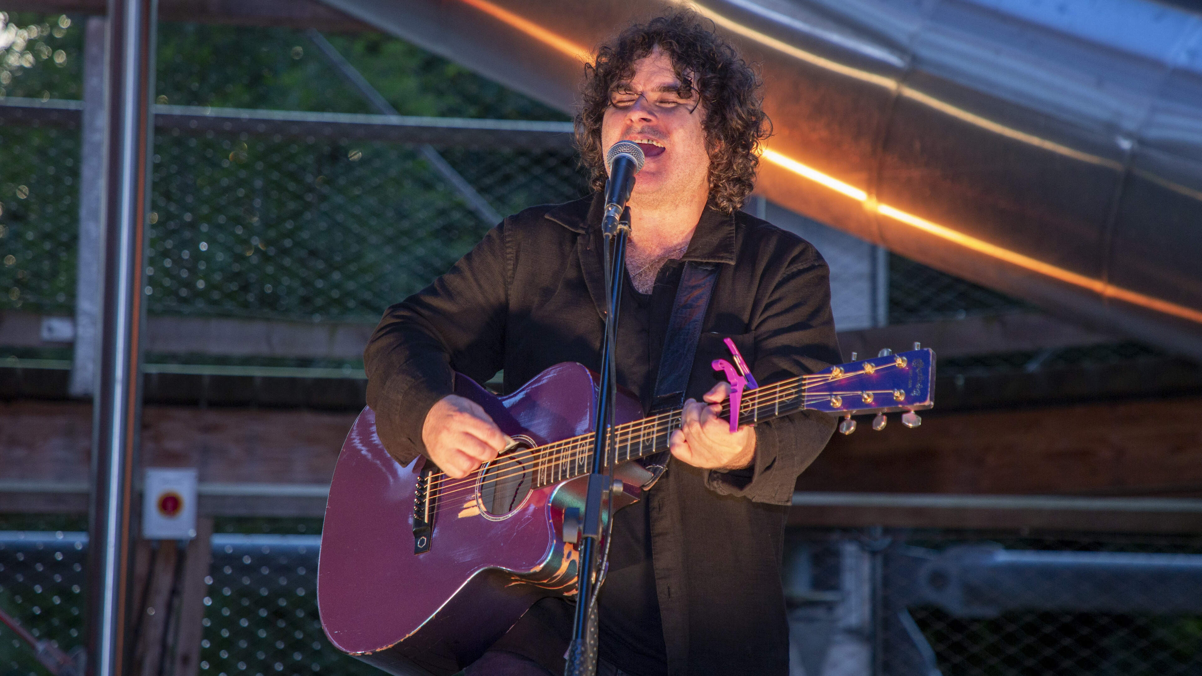See photos as Paddy Casey plays concert at Beyond the Trees Avondale’s treetop tower in Wicklow