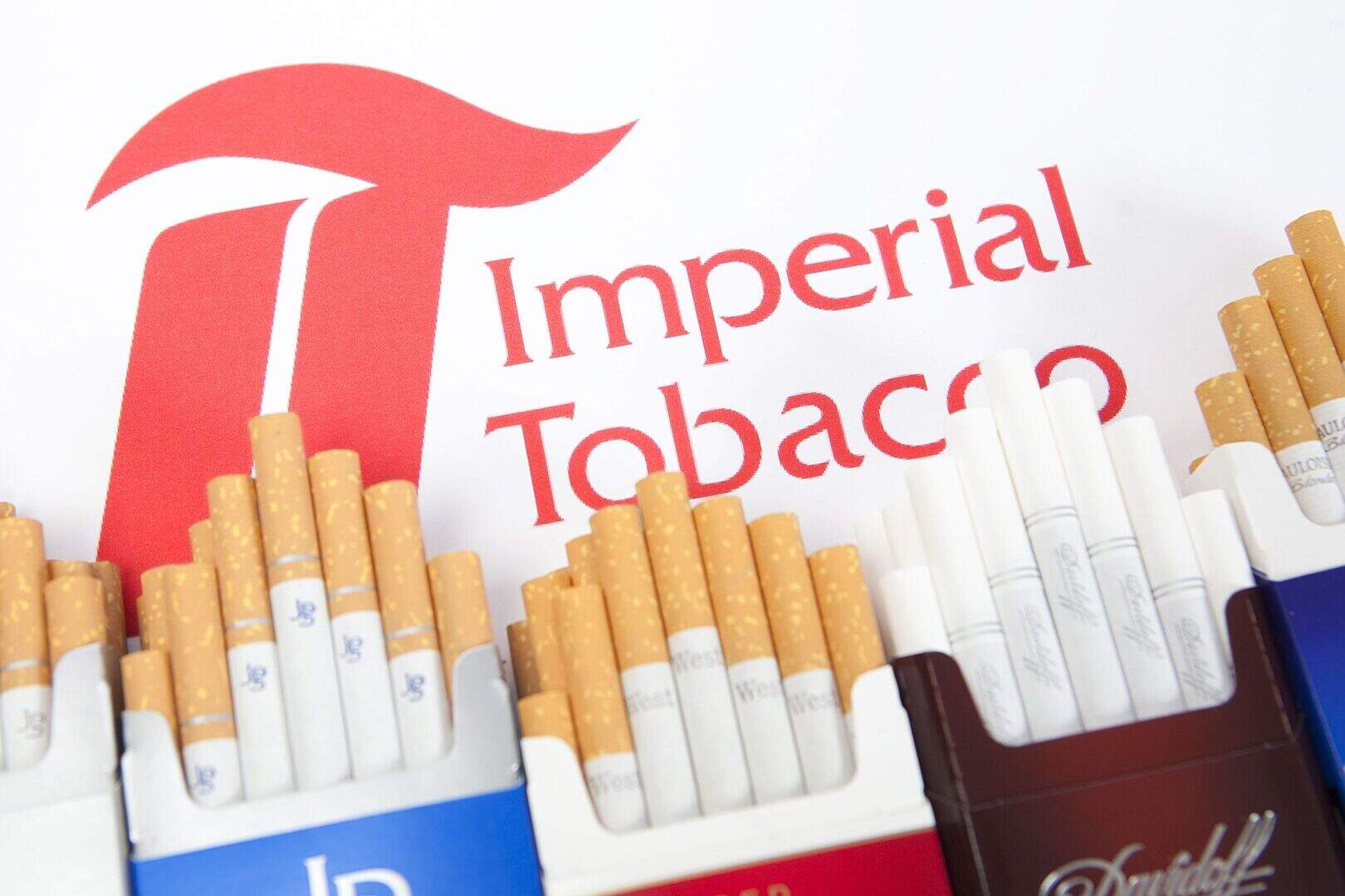 can you smoke indian tobacco Lobelia inflata Indian Tobacco