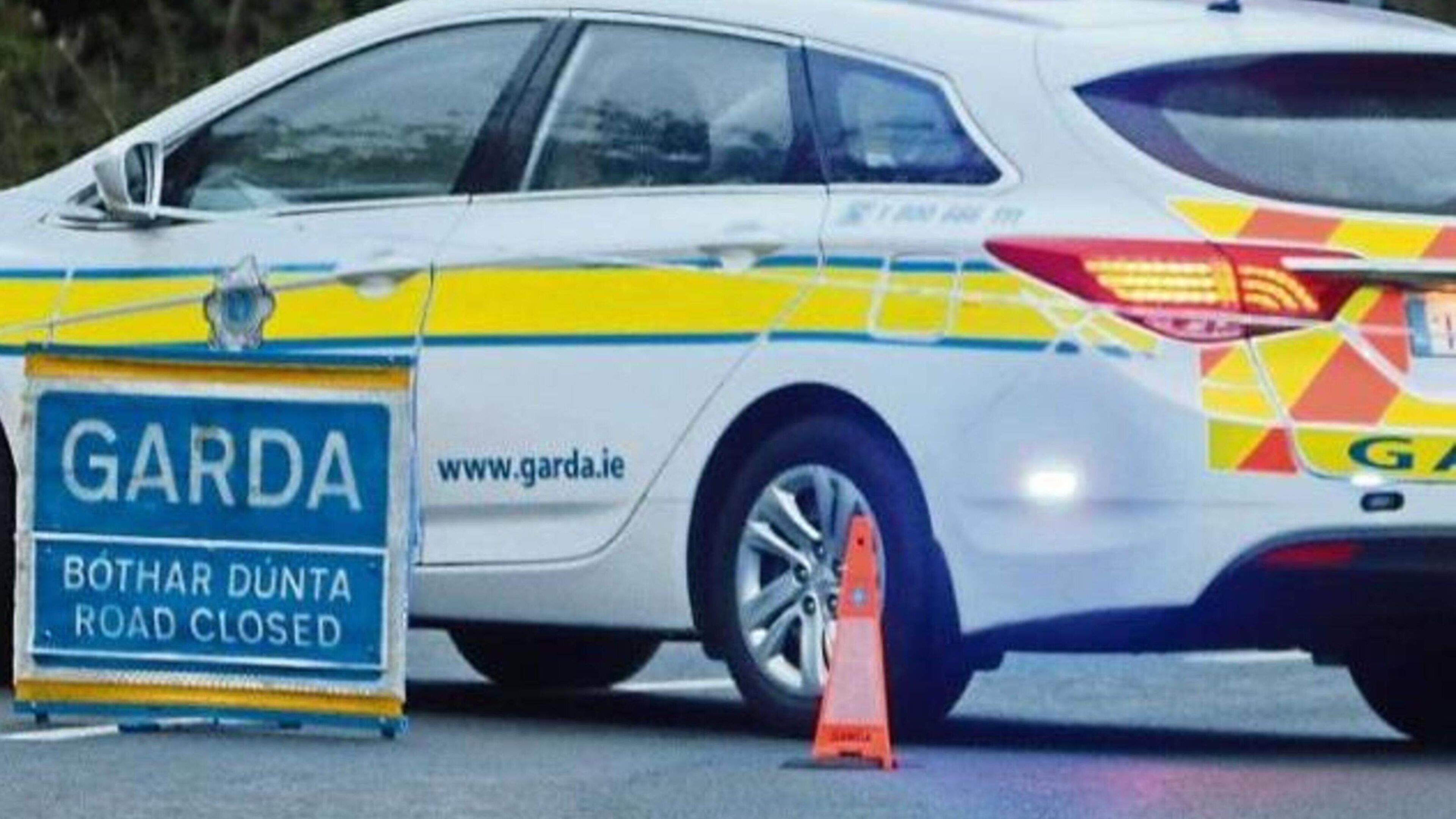 OAP dies in hospital after being knocked down as gardaí appeal for witnesses