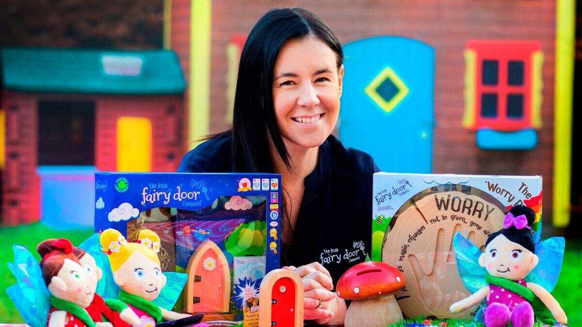 Irish Fairy Door Company raising €250,000 for US push | Irish Independent