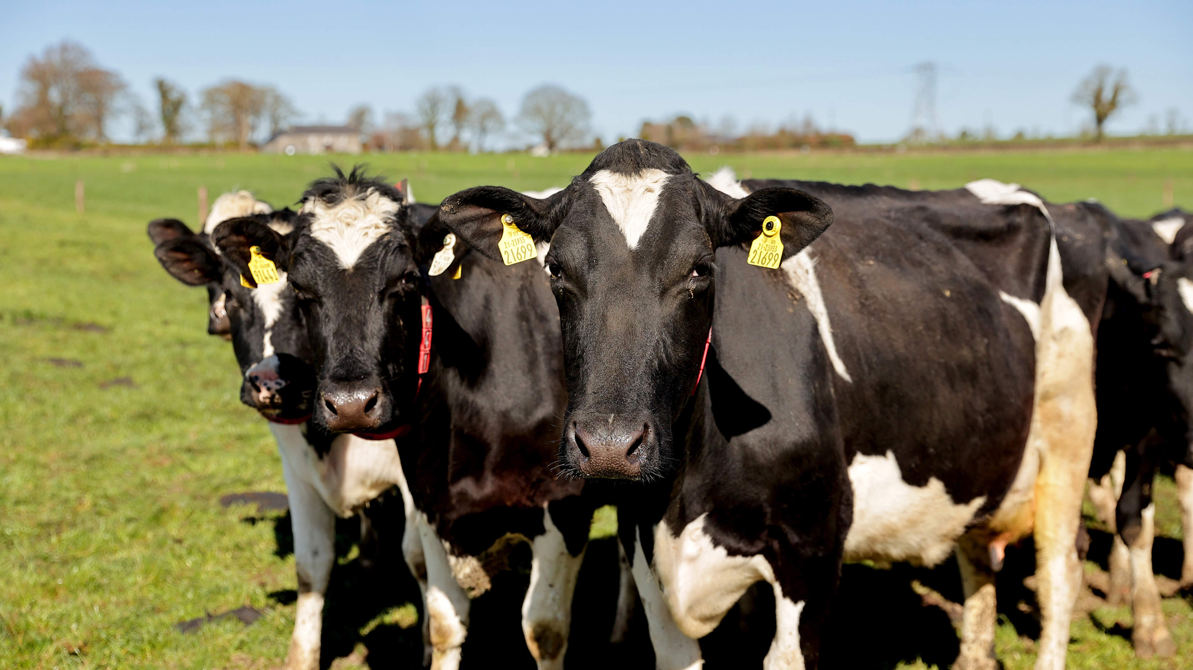 Sligo Council motion urges no cuts to farmer payments as Department of Agriculture told to save €26m