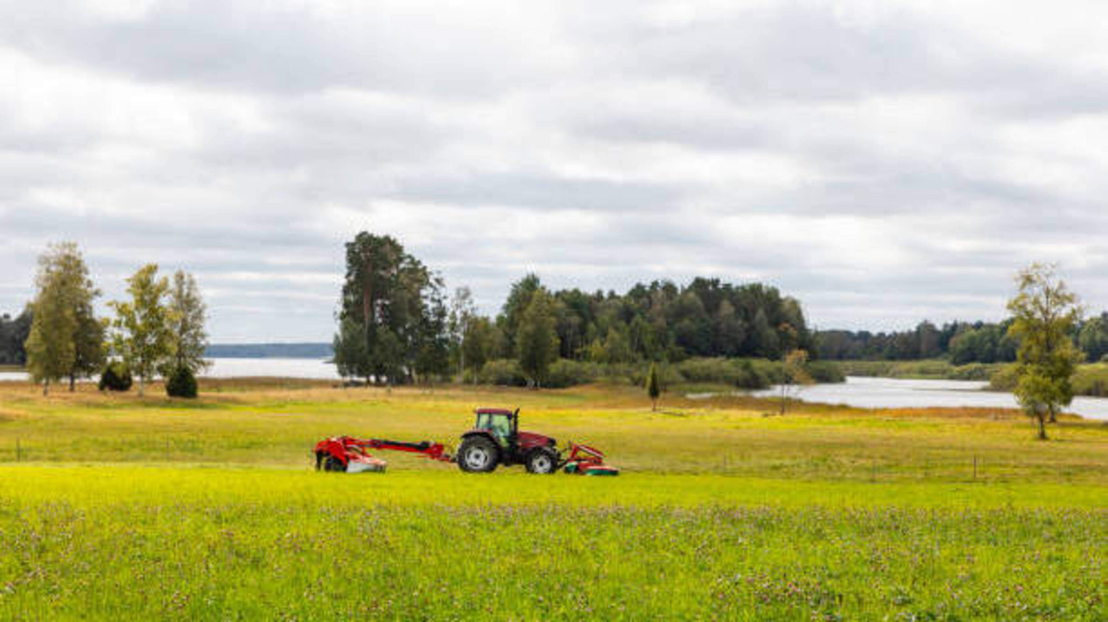Public meeting to be held in Laois on farm inspections into river water quality