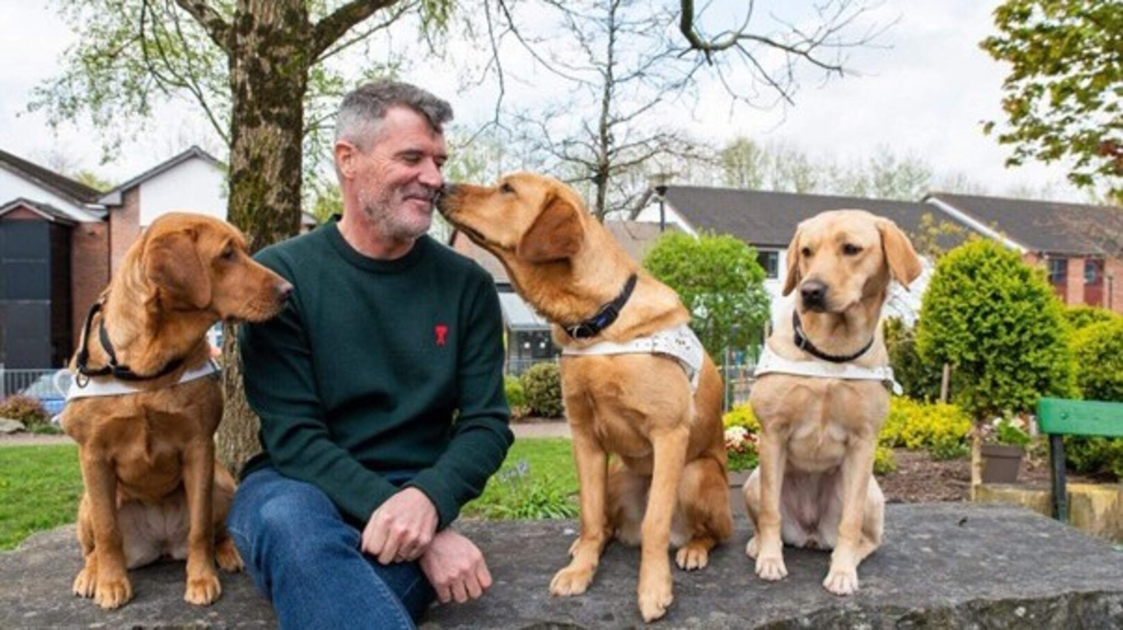 Local choirs to unite for Irish Guide Dogs for the Blind charity evening in Wexford