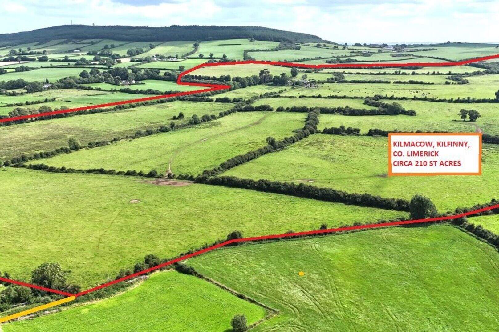 €3m for 210ac Adare holding – ‘one of the finest farms to come to the ...