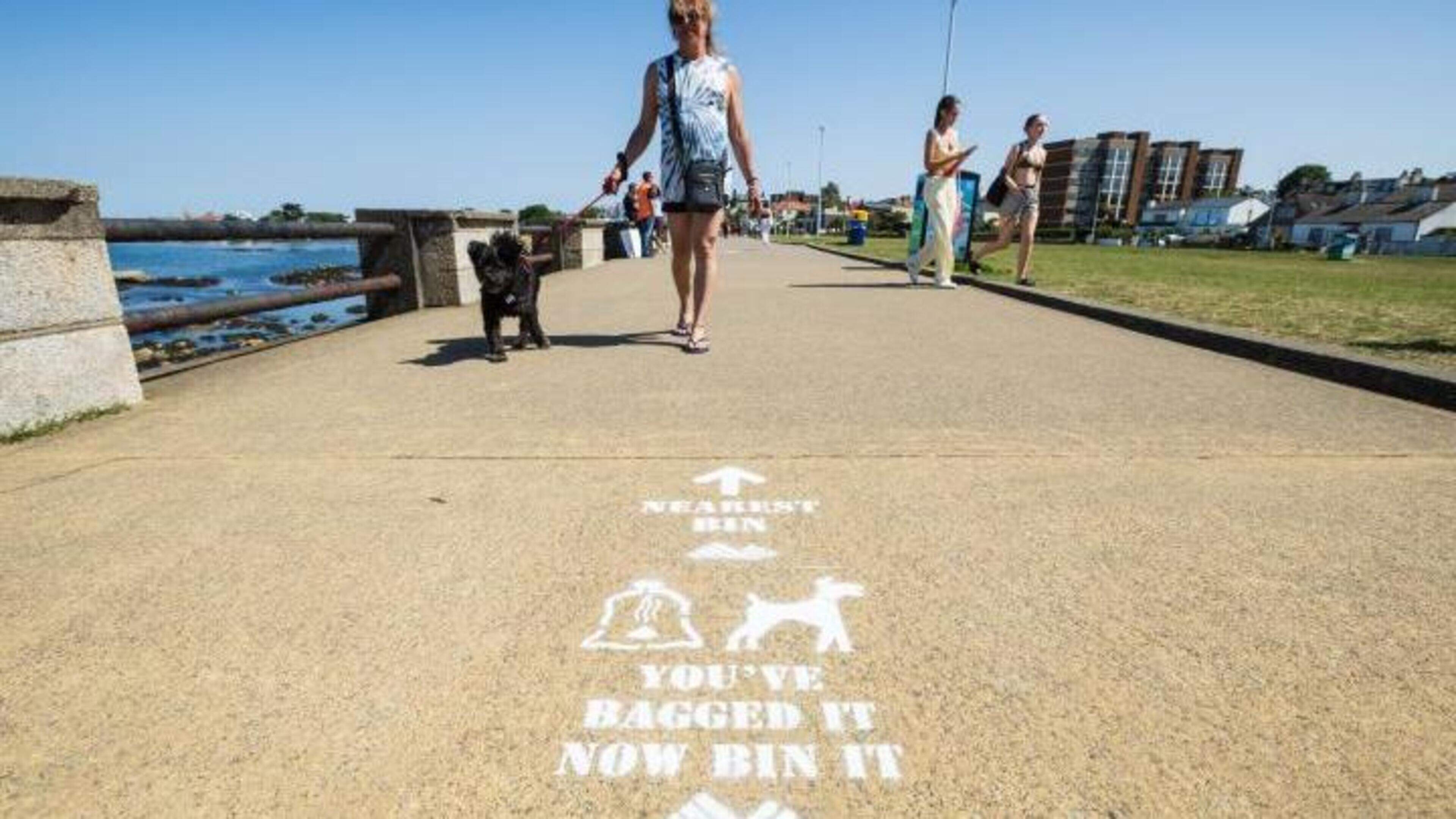 Council to trial ‘spray-painted stencil messages’ to tackle dog fouling and improve Dún Laoghaire bathing water