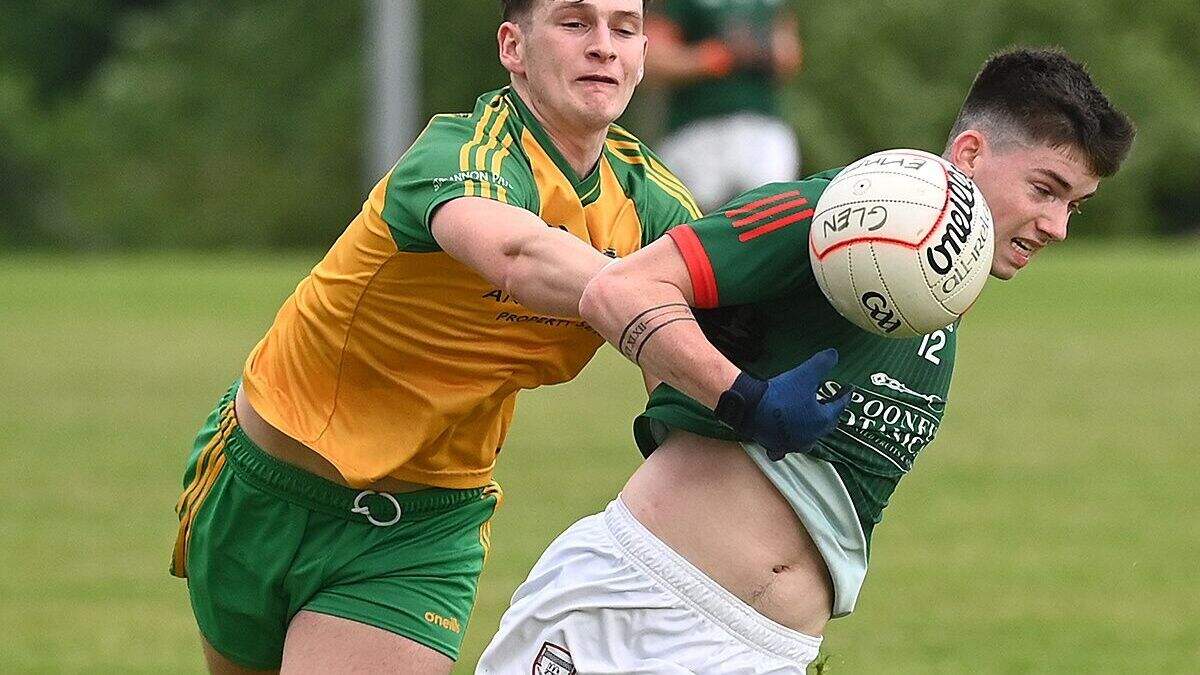 Louth GAA Division 2 reports | Irish Independent