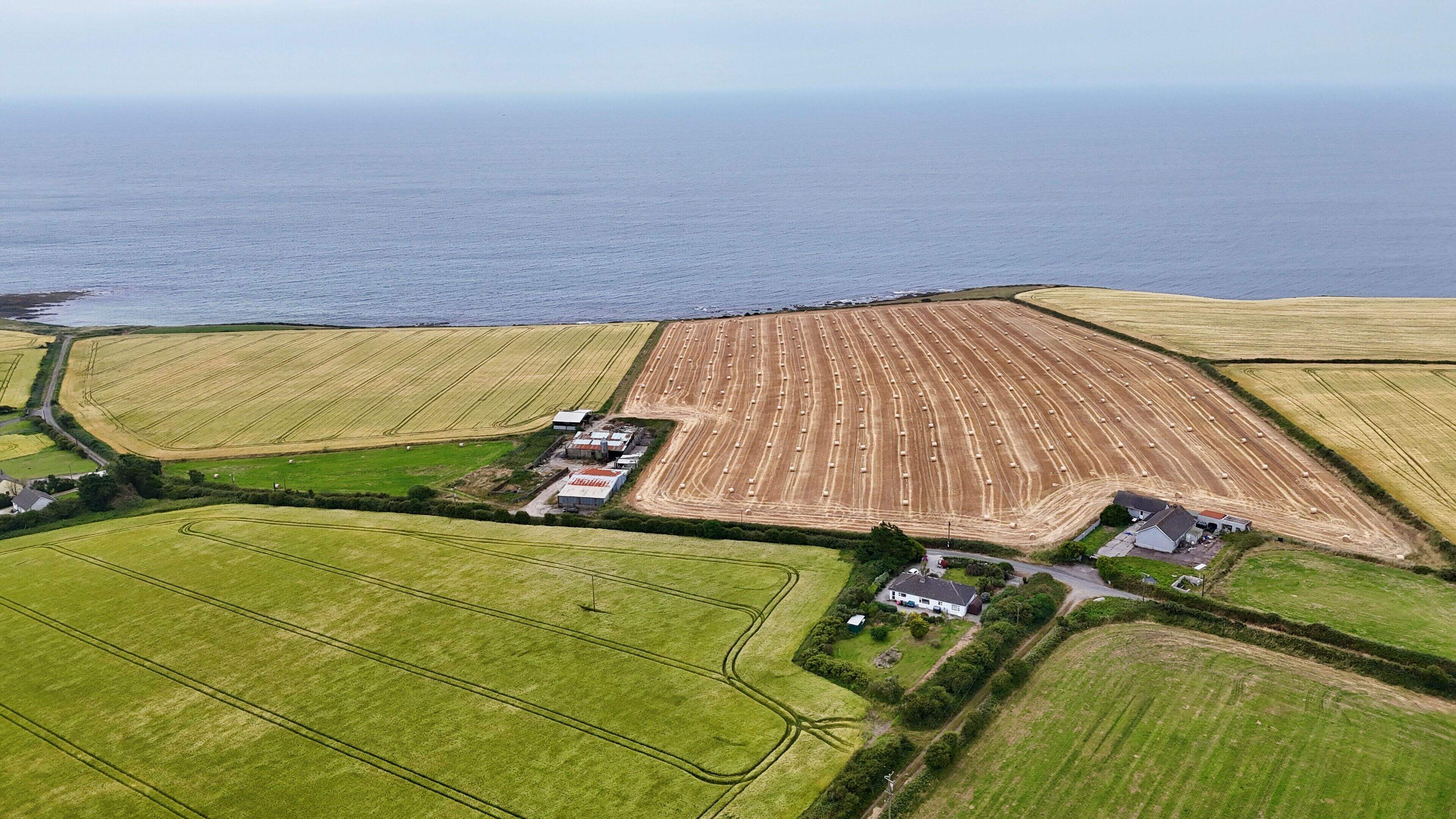 €1m sought for spectacular 80ac Cork coastal holding
