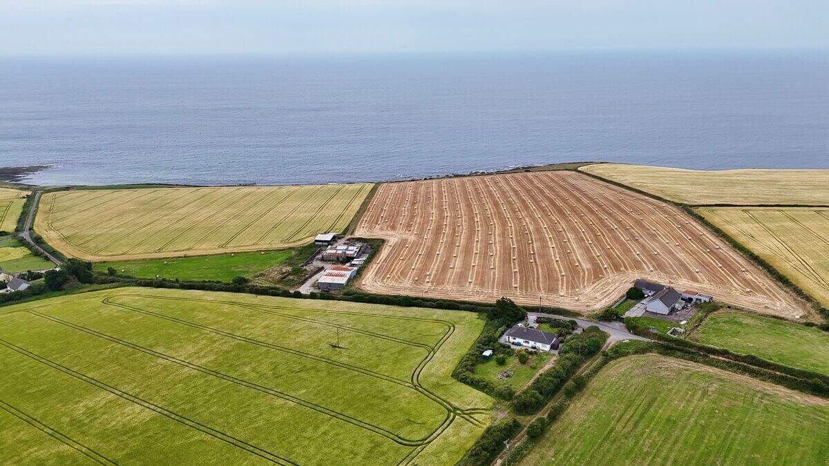 €1m sought for spectacular 80ac Cork coastal holding