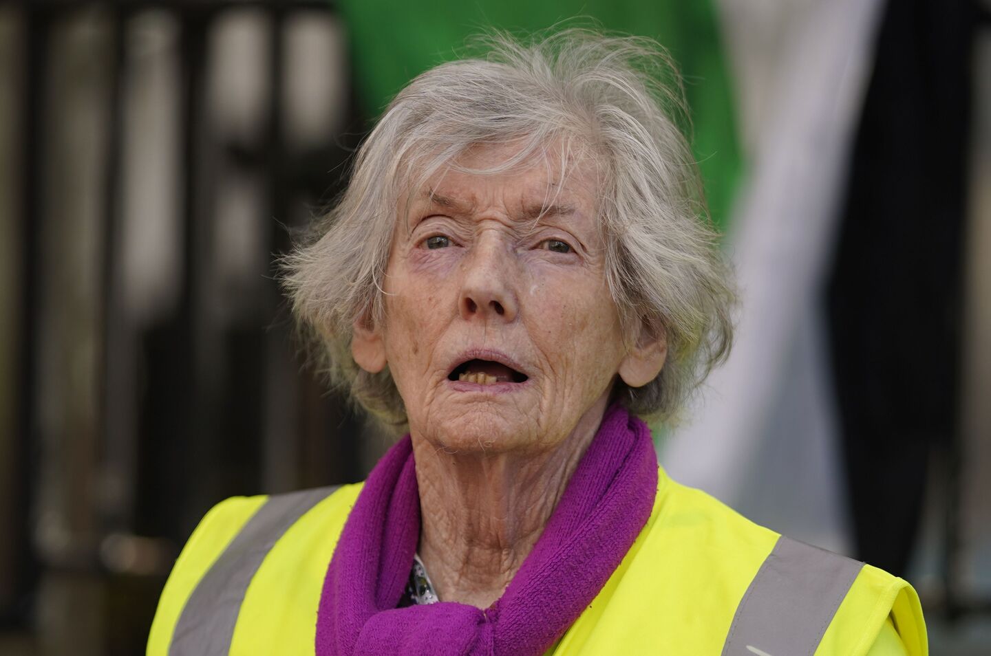 Lelia Doolan (91) completes 220km walk from Clare to Dáil in protest at ...