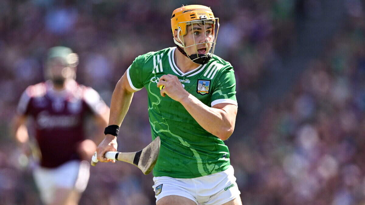 Indo GAA podcast hurling team of the year: Adam English in as Limerick dominate