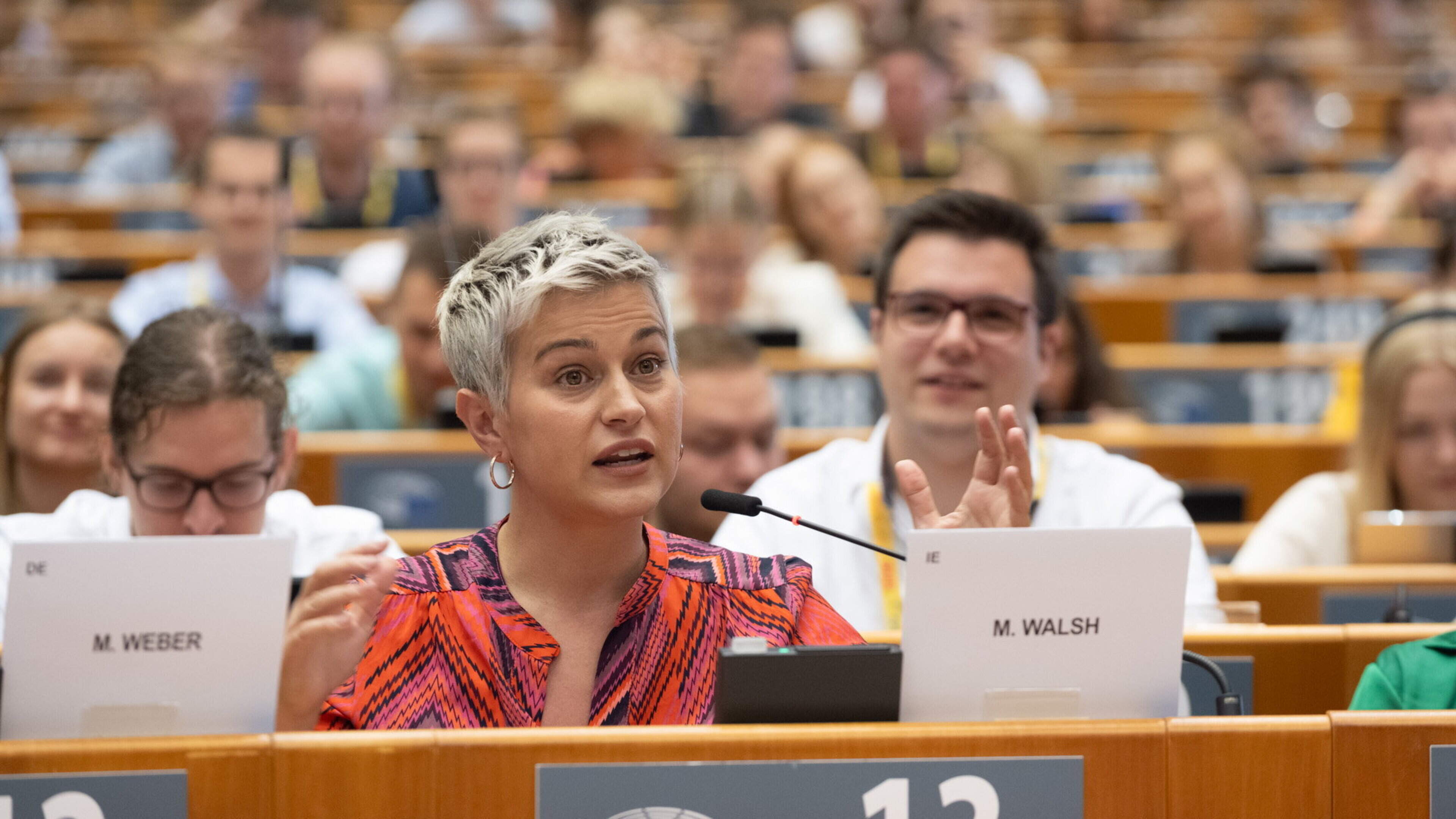 MEP seeks guaranteed funding for mental health services, farmers and LEADER programme