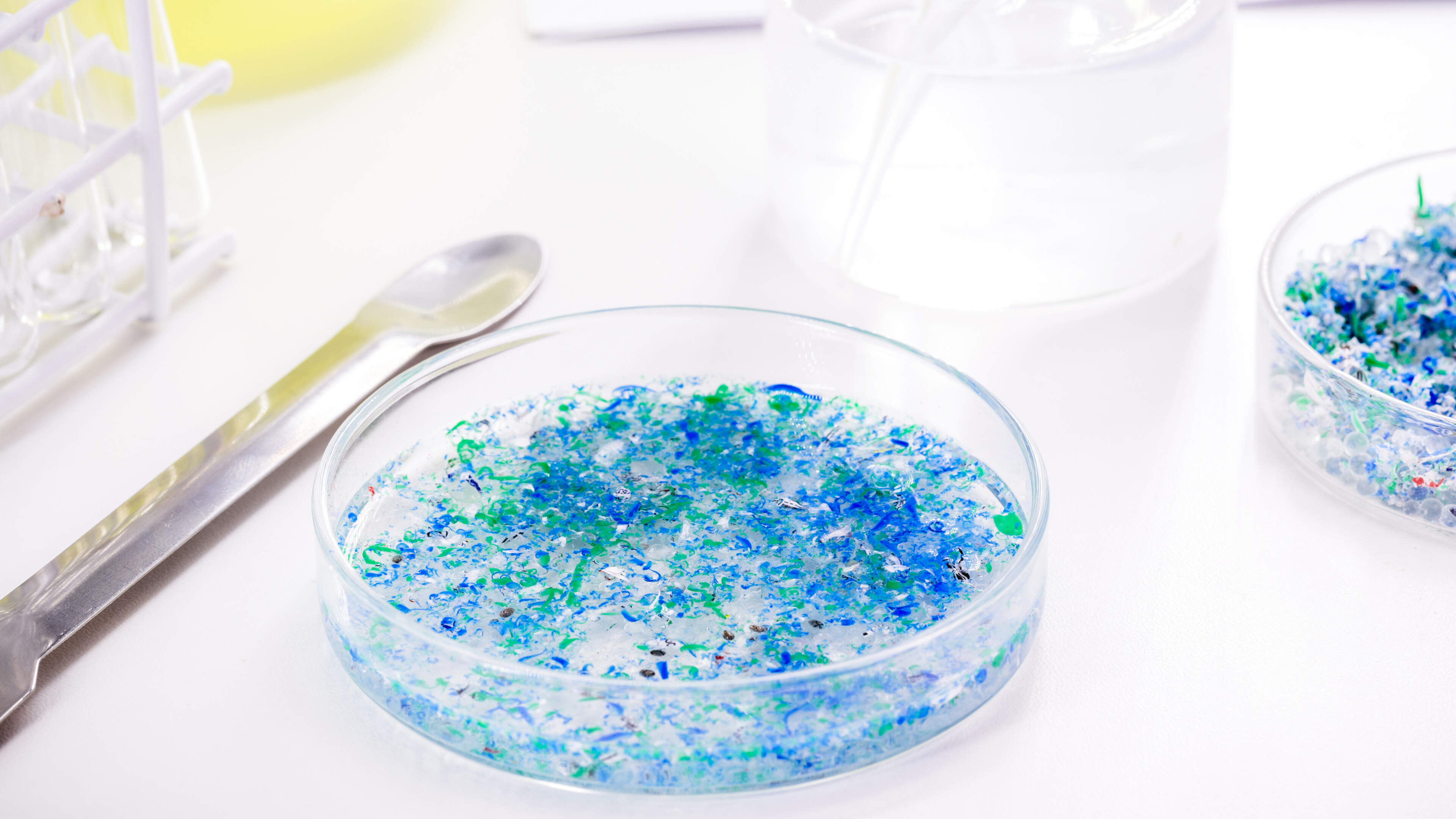 Inhaled microplastics can stay in lungs for weeks and worsen allergies