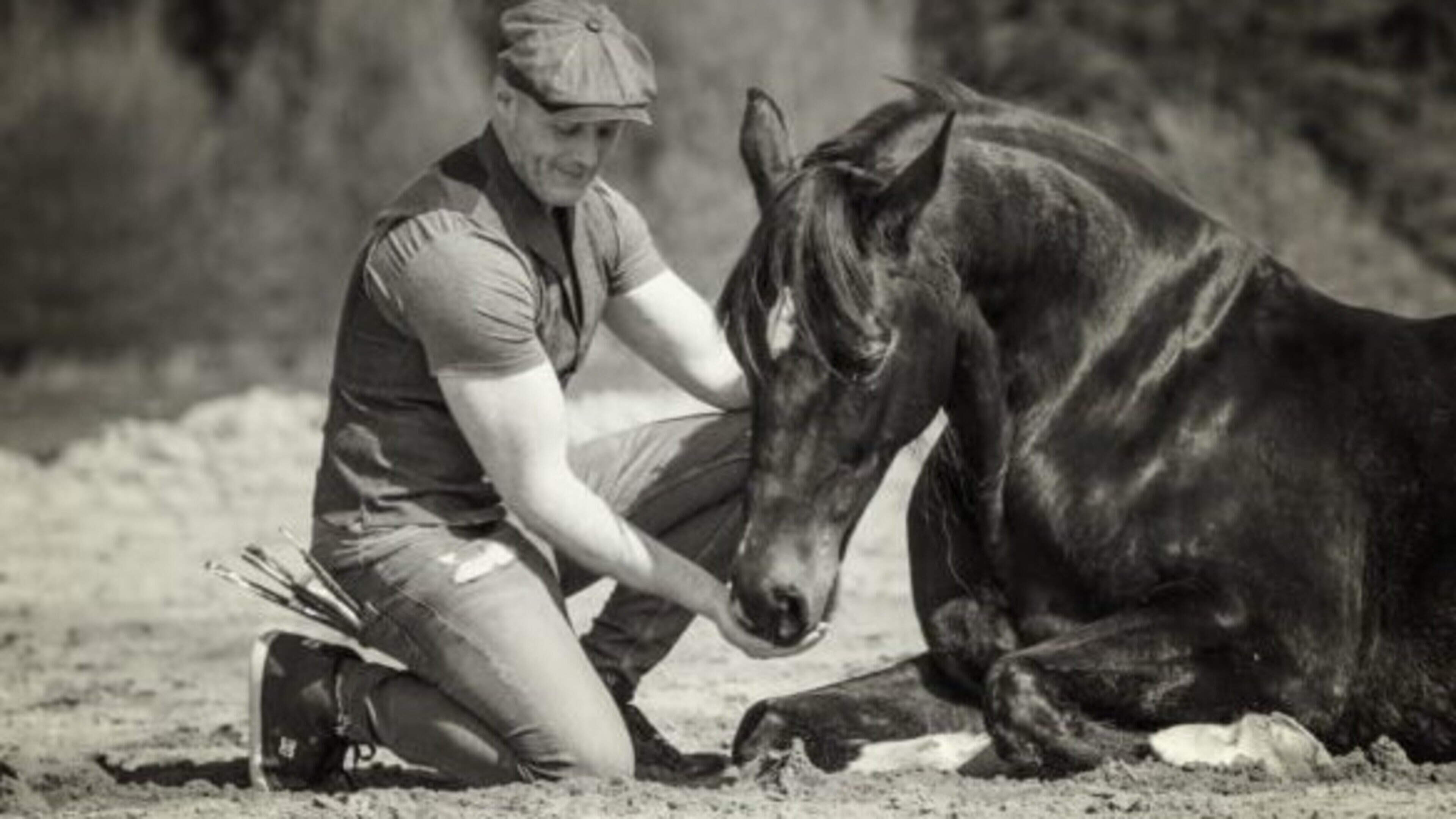 Kerry artist showcases new collection at Dublin gallery – ‘It celebrates the enduring beauty and emotional power of the horse’