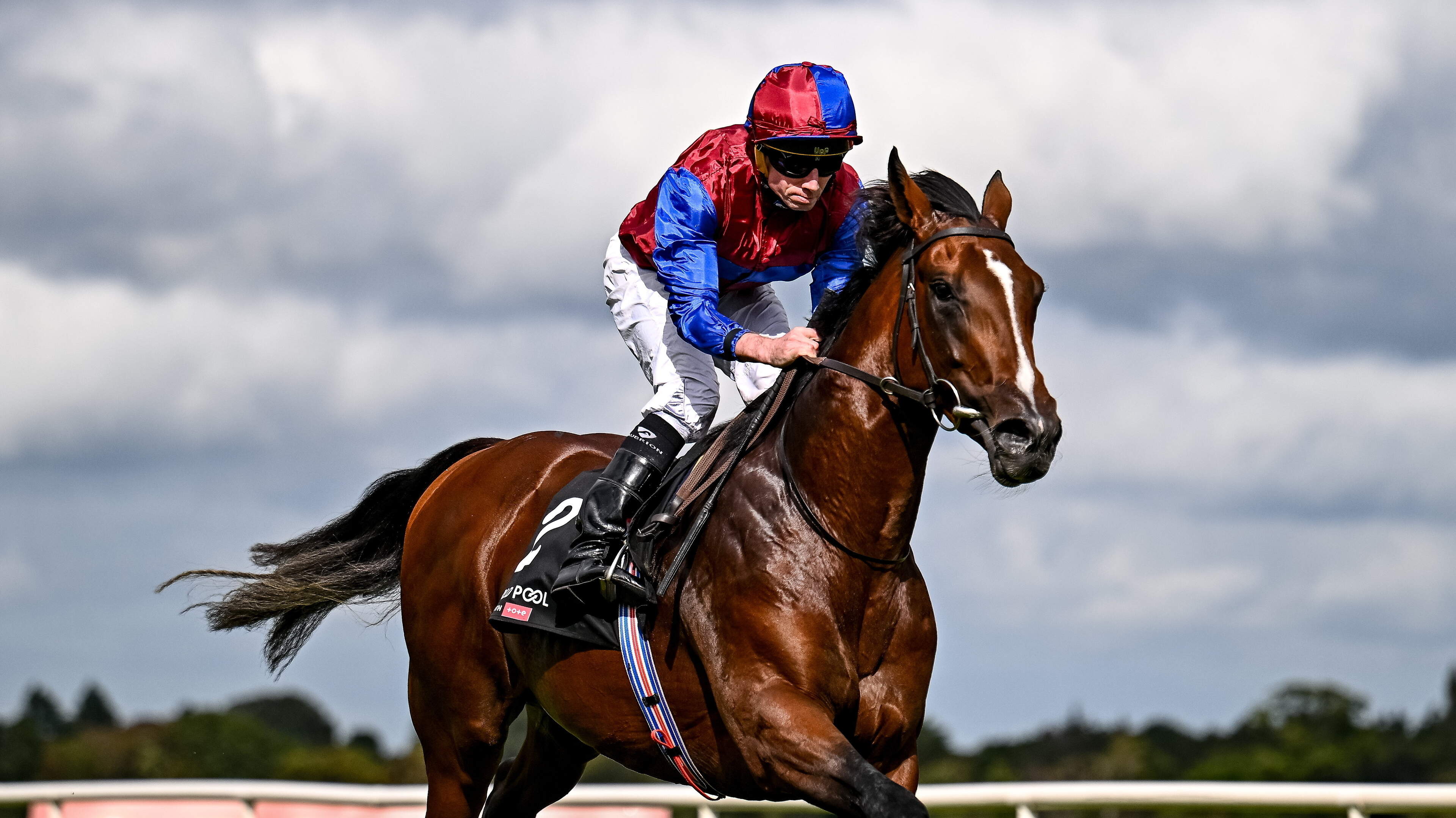 Aidan O’Brien feels Darkness Falls could be his first Triple Crown contender since Camelot