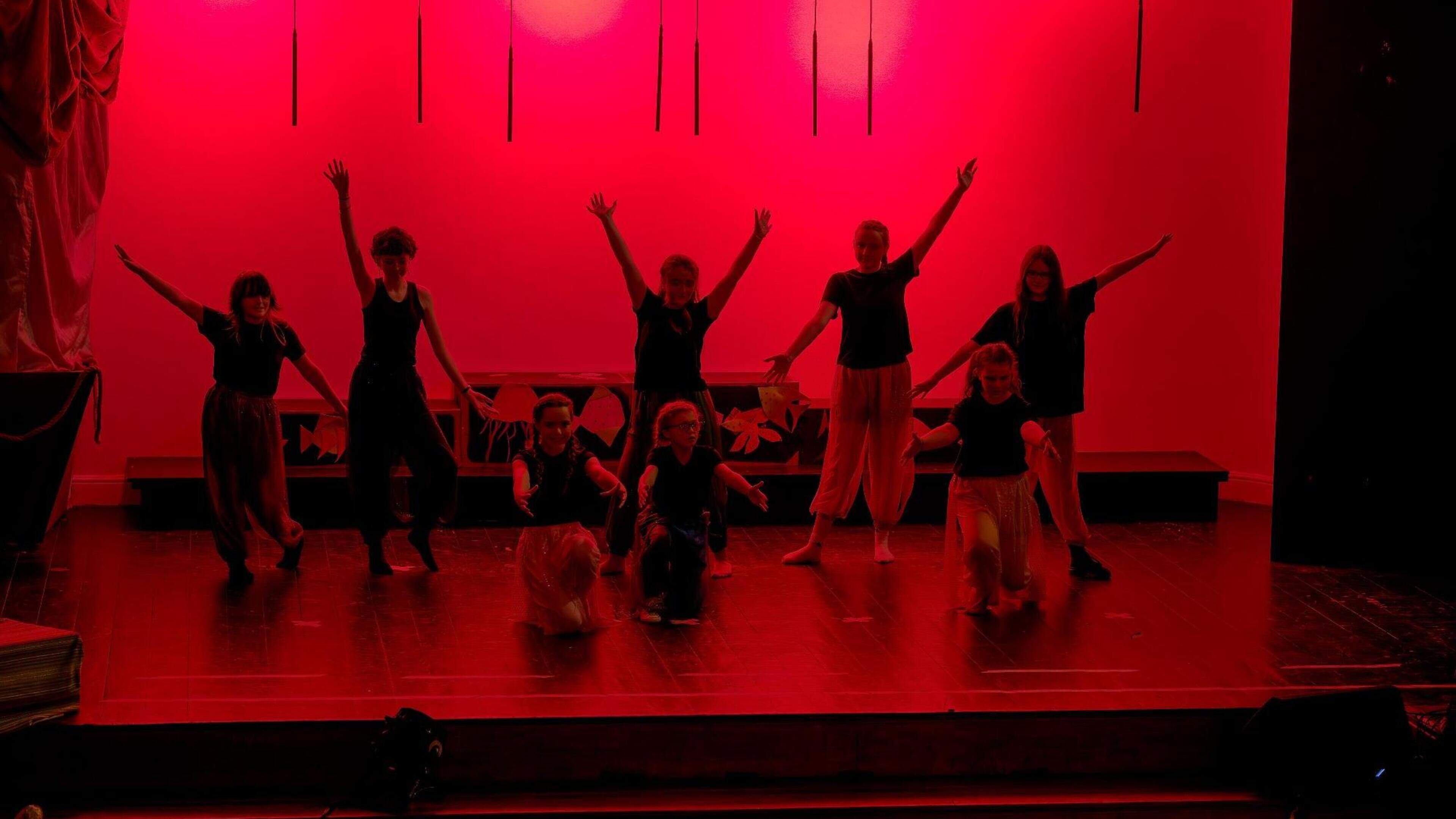 From pirates to Vikings and enchanted beings, Wicklow students shape inclusive new summer musical