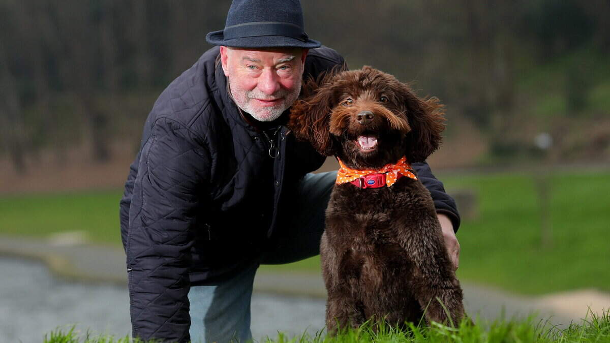Liam Collins: Have you got a dog? the dog warden asked politely. No, I lied