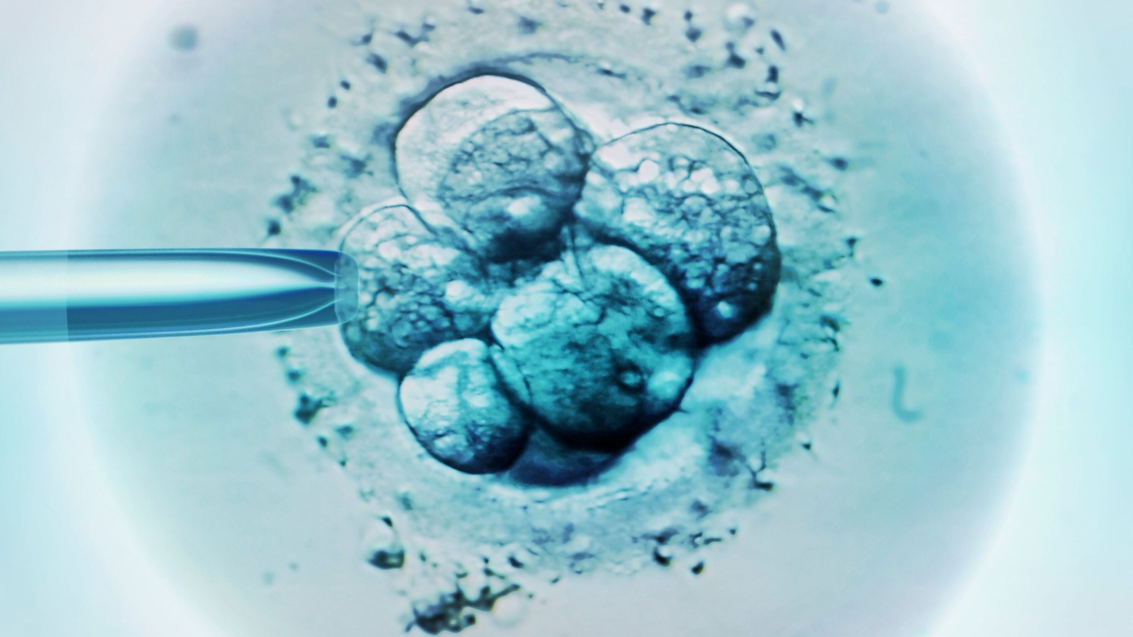 White Florida couple who had a Black baby after IVF mix-up at fertility clinic reach custody agreement
